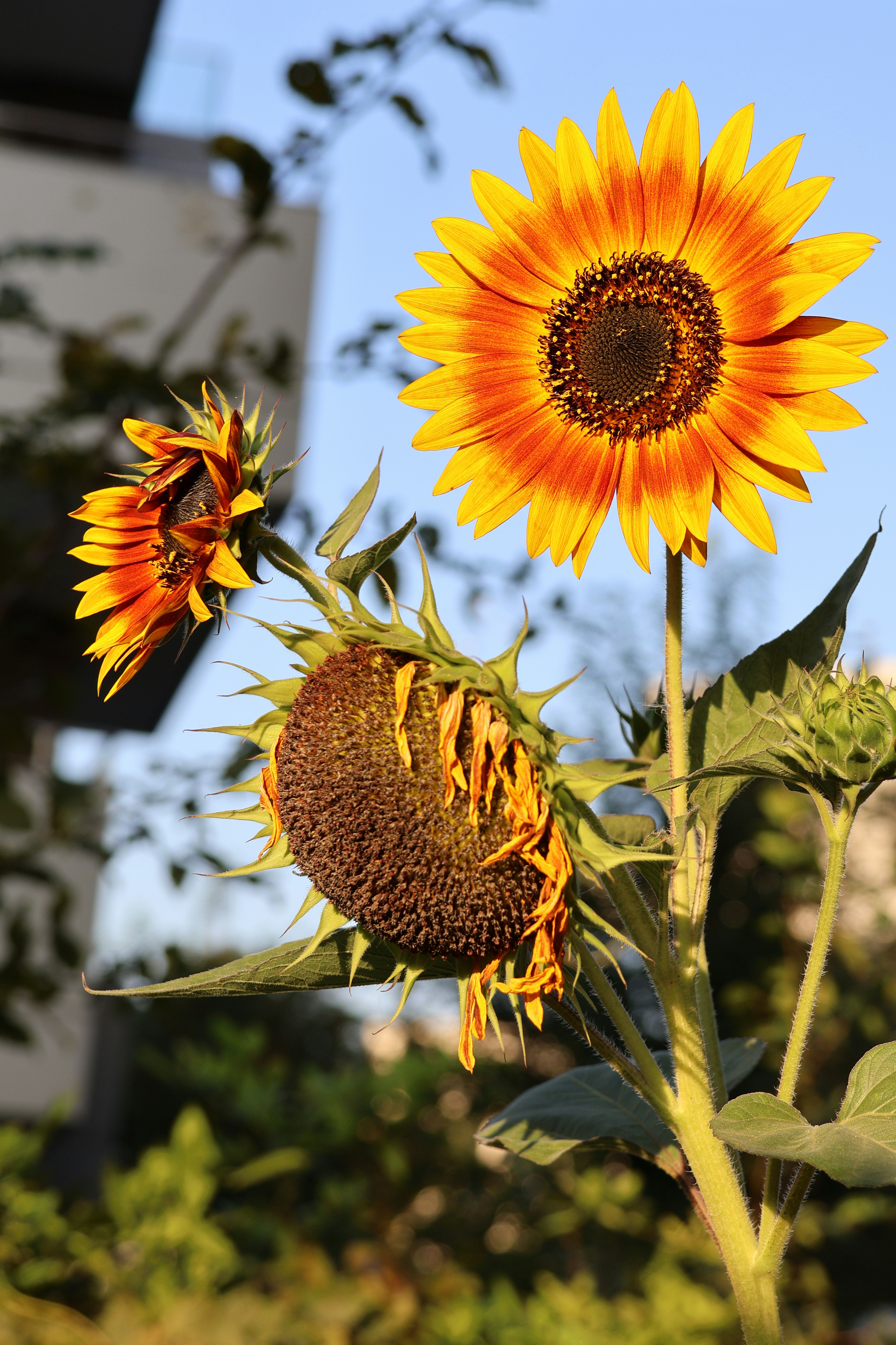 Photo by shooter__andy