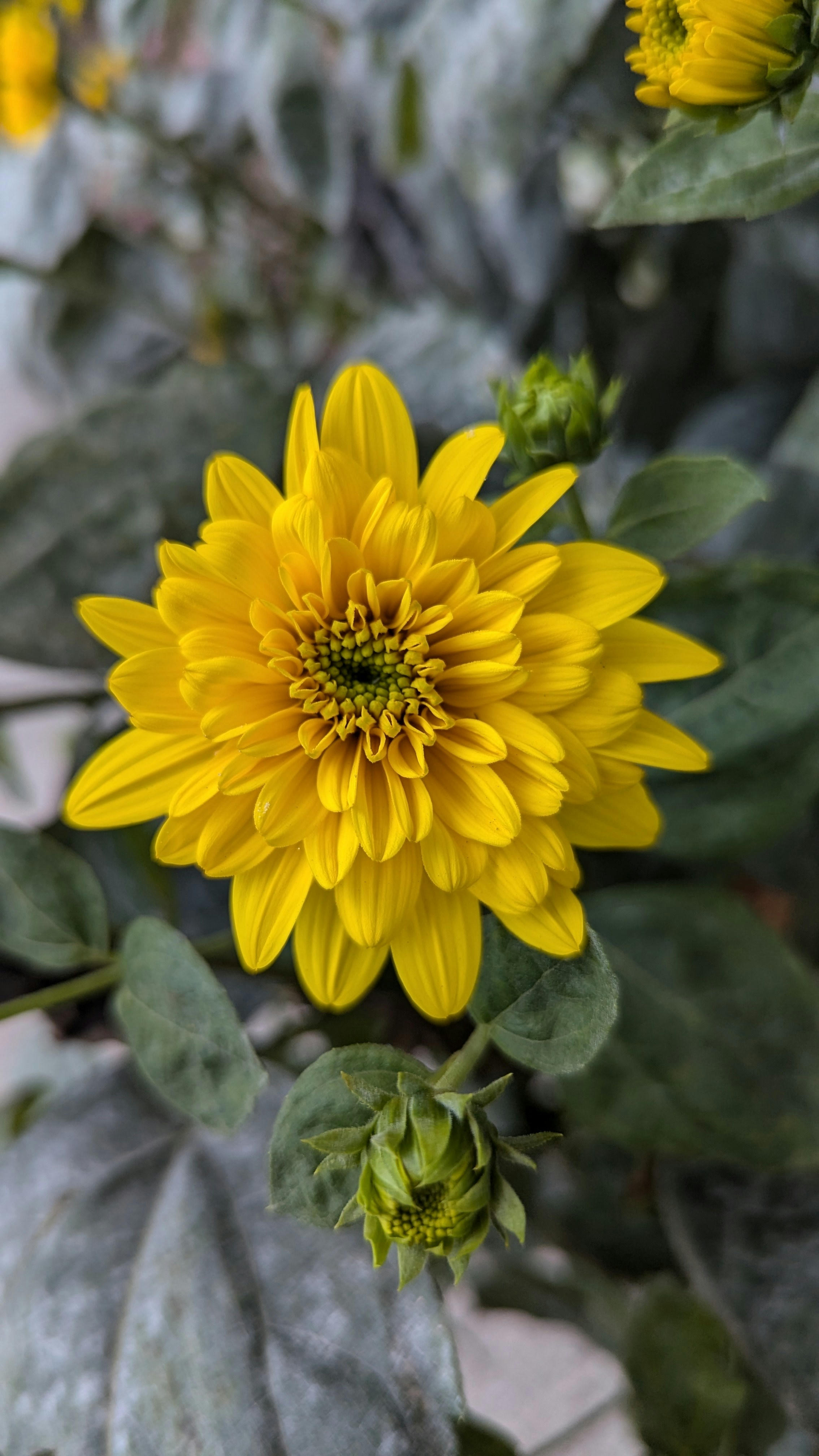 Photo by harpalvaghela11