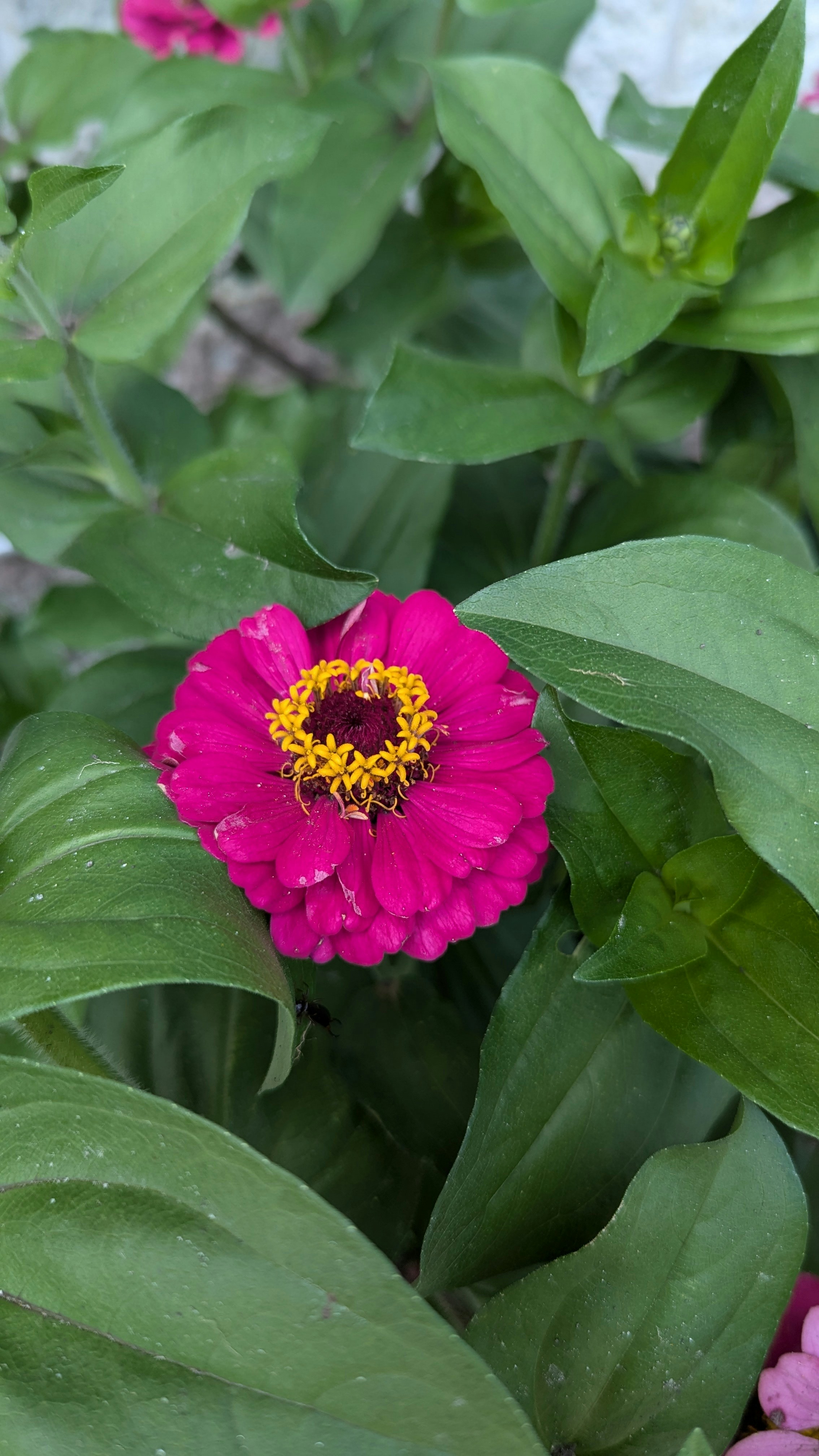 Photo by harpalvaghela11