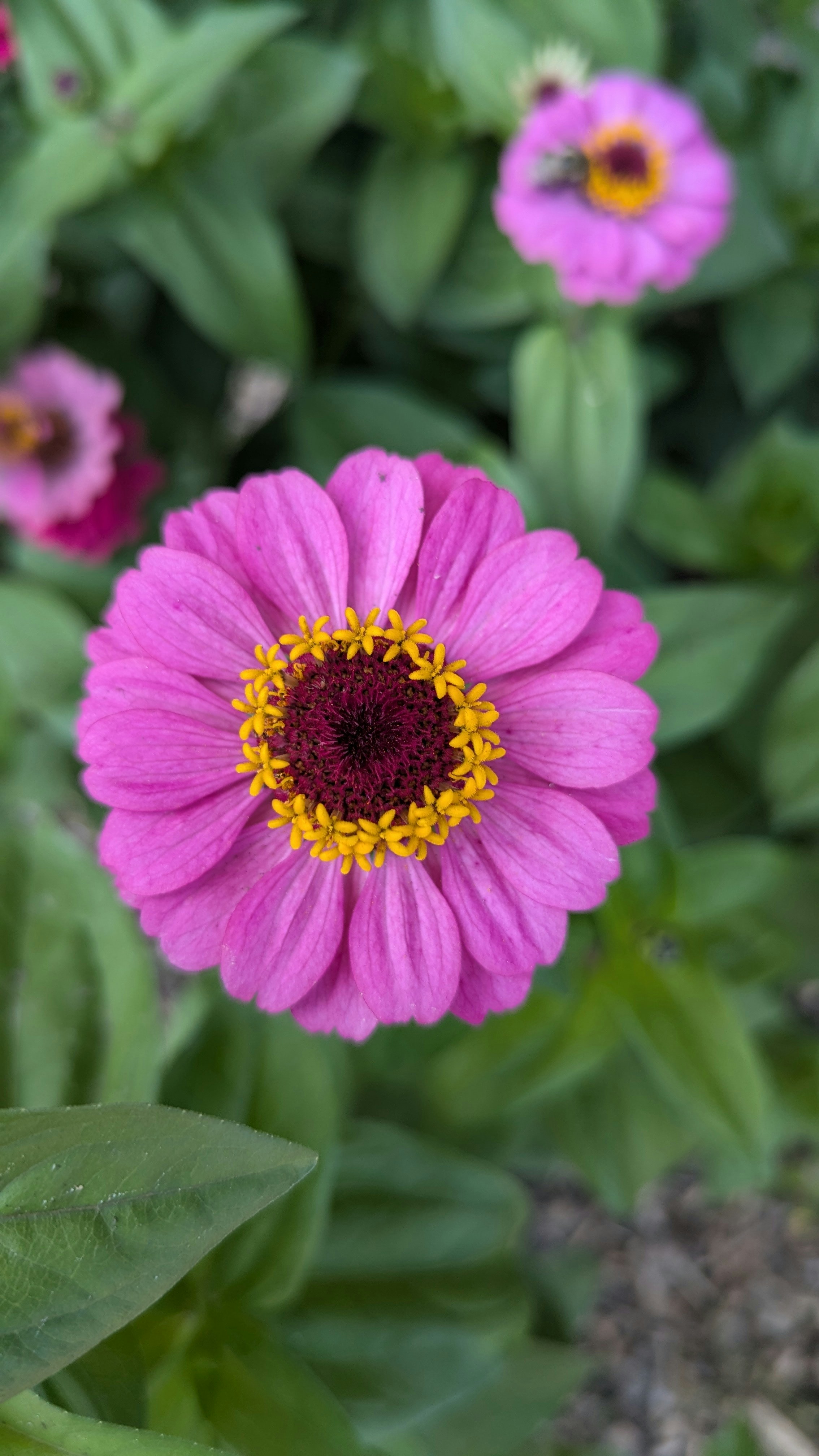 Photo by harpalvaghela11