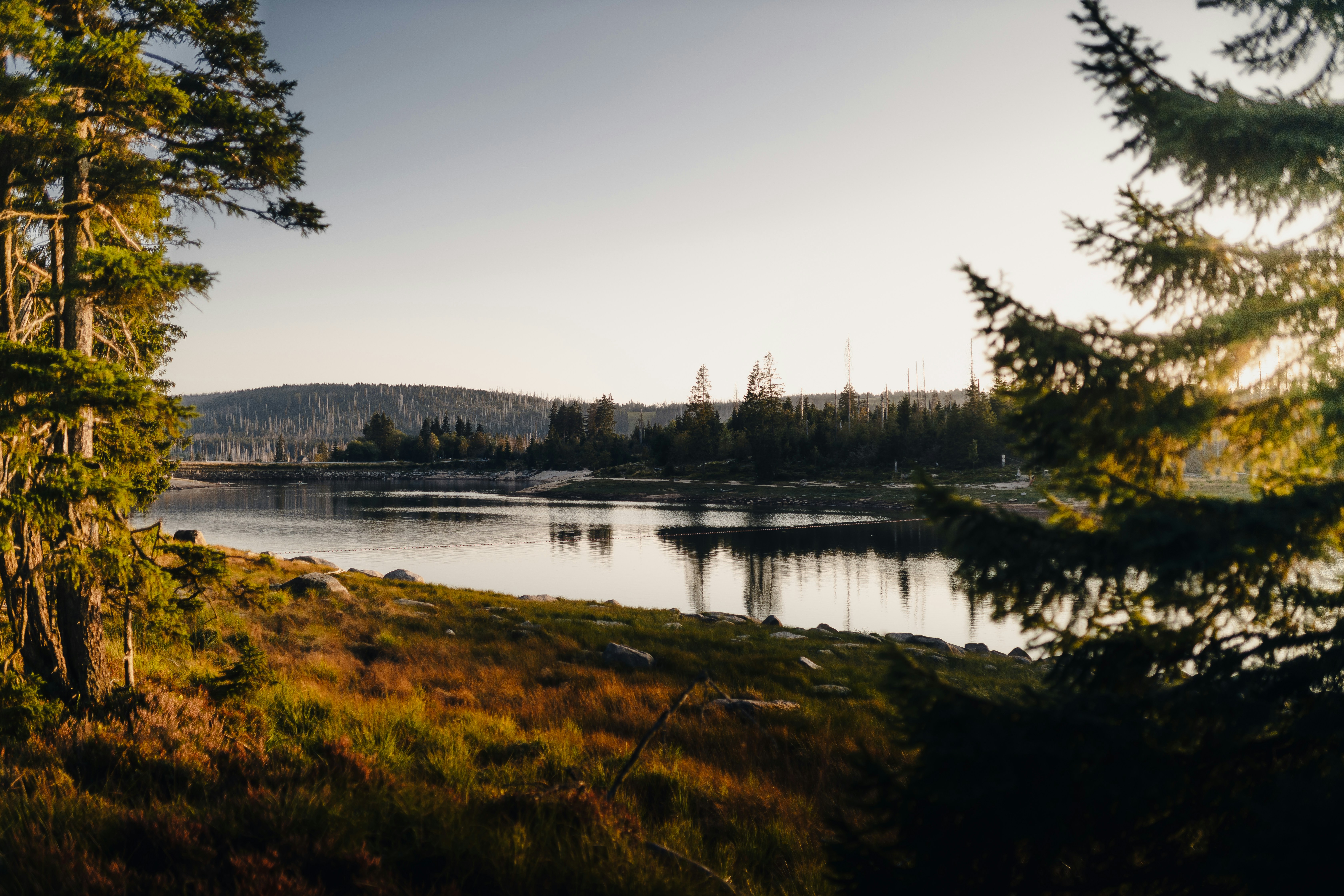 Photo by julianmissling