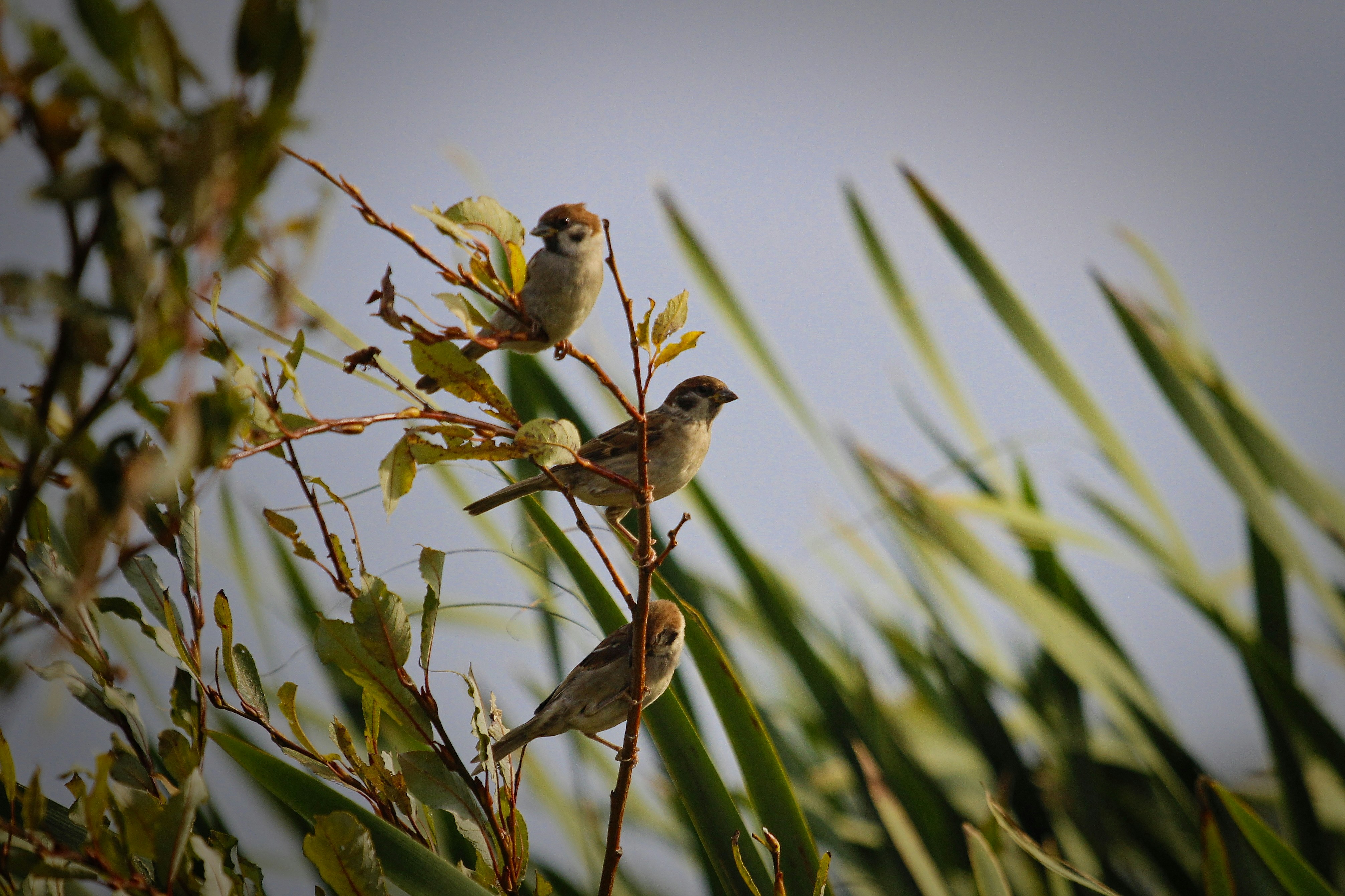 Photo by egemensahiin