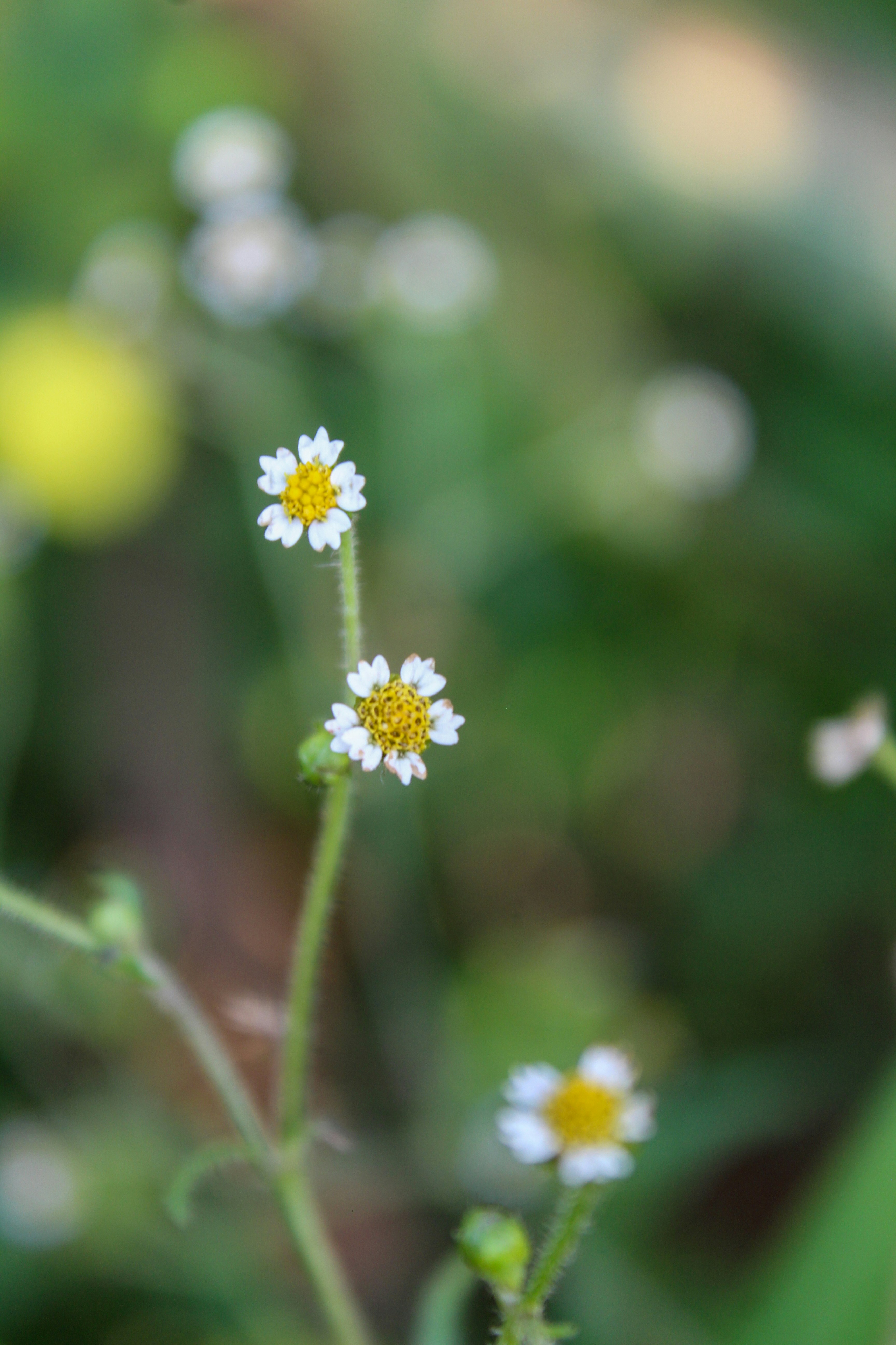 Photo by fay_graphic