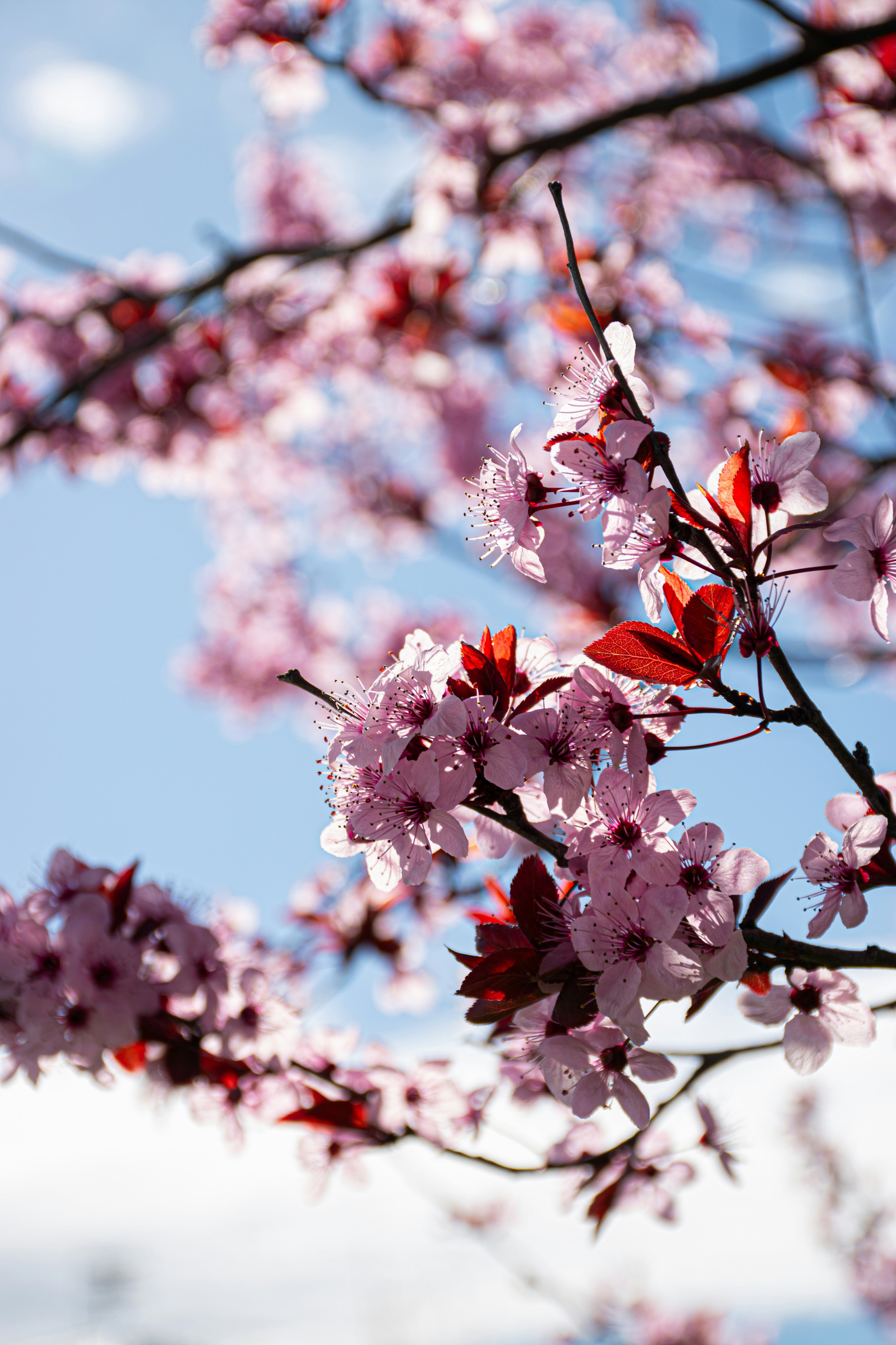 Photo by adam_skrinnikoff