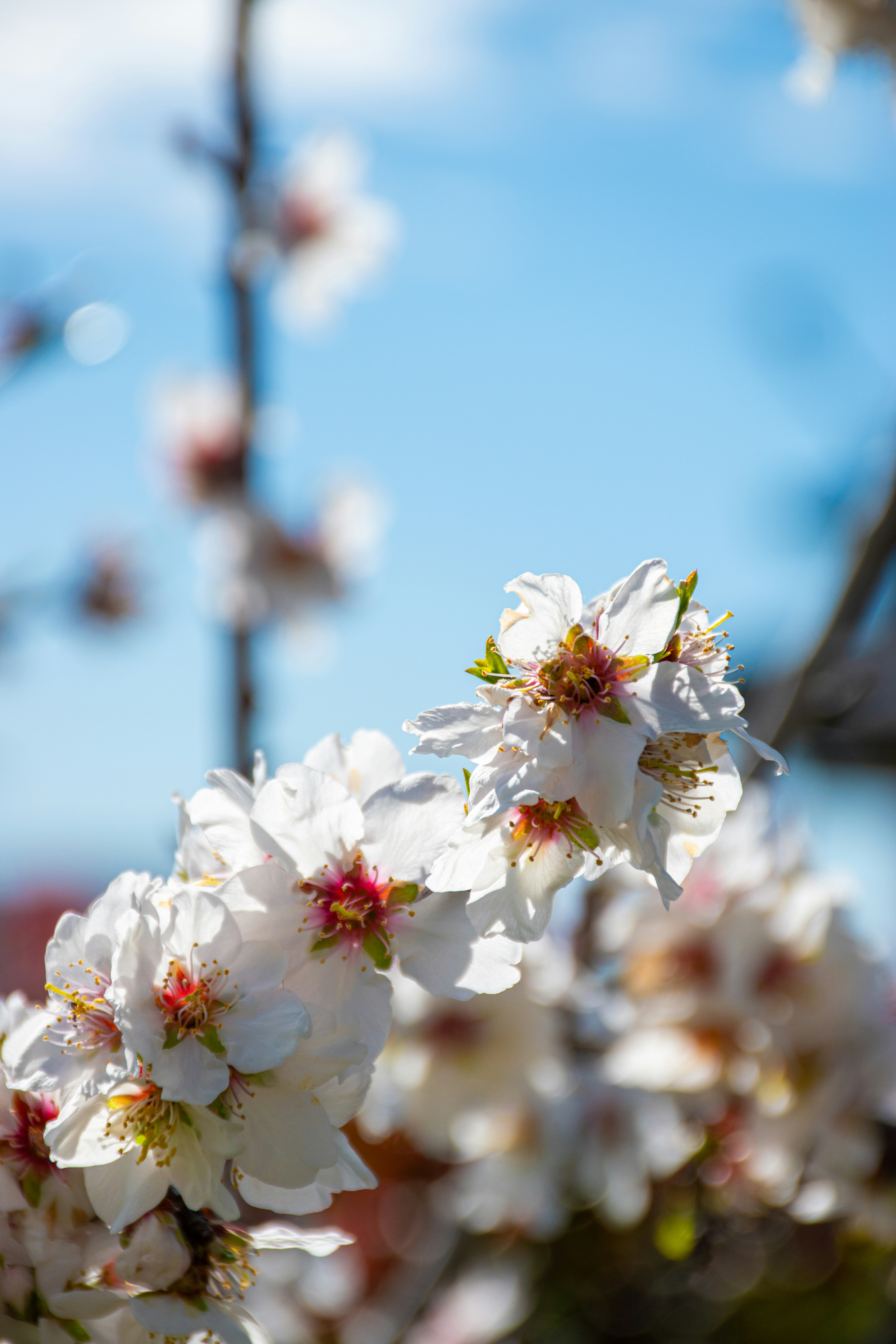 Photo by adam_skrinnikoff