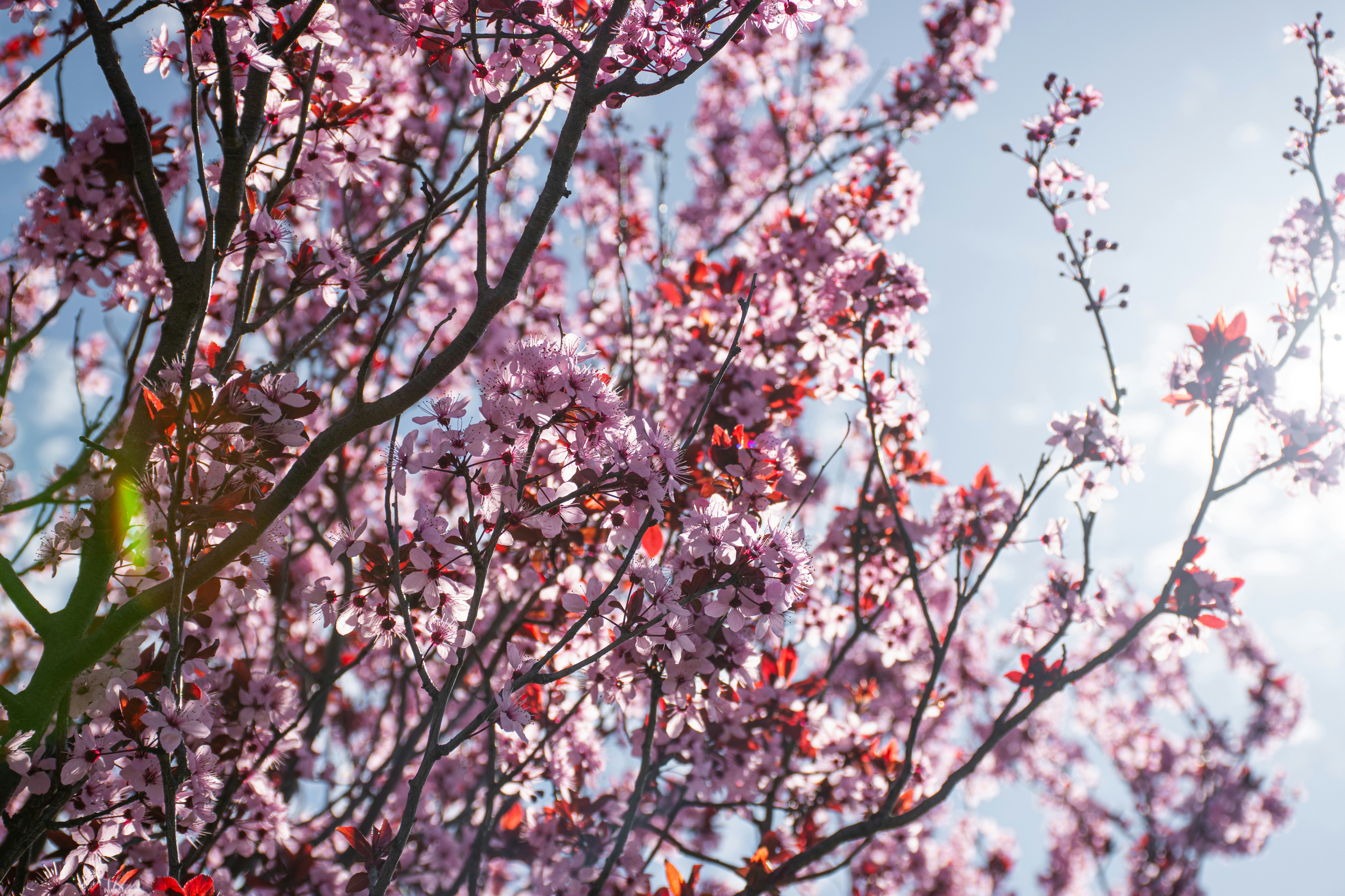 Photo by adam_skrinnikoff