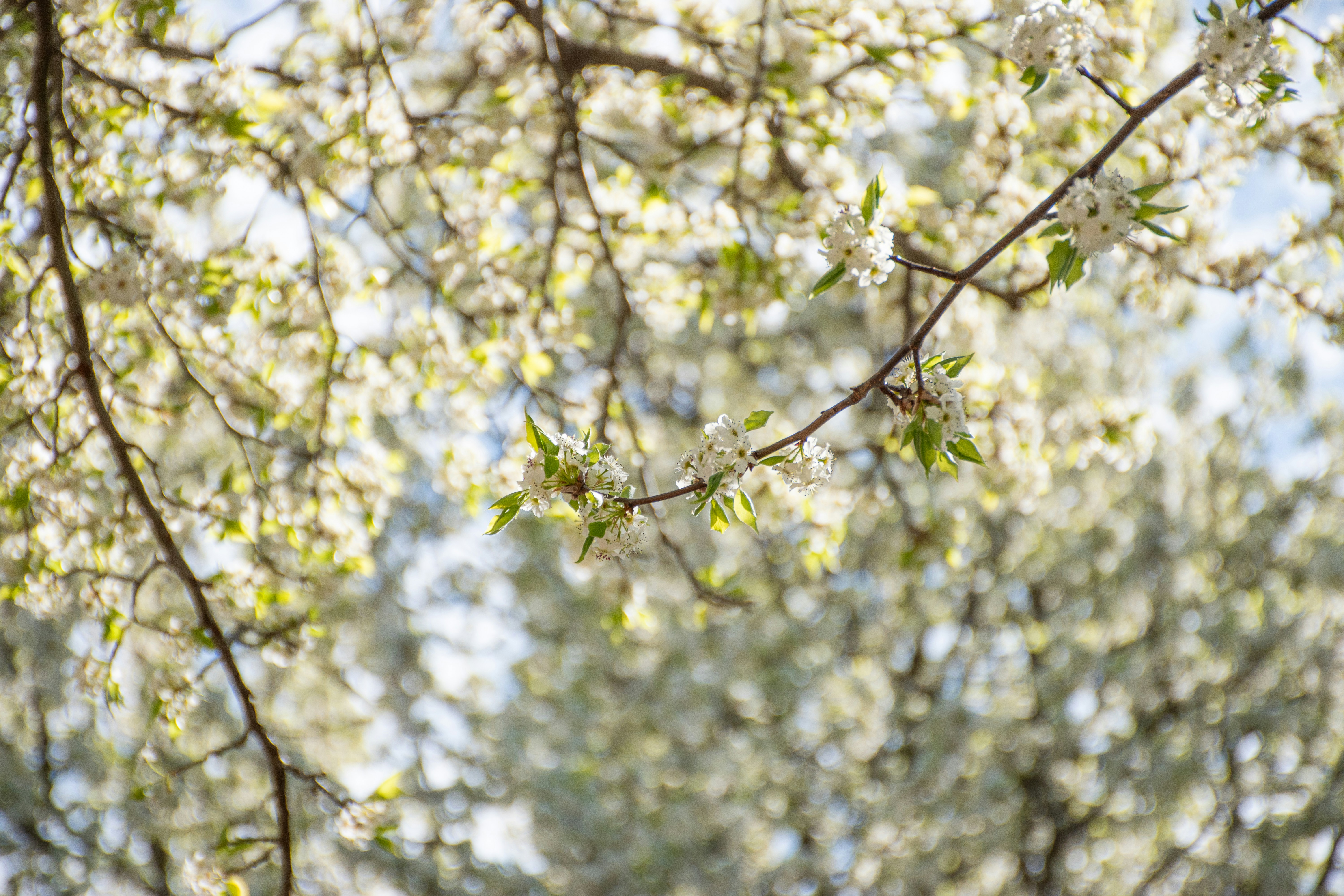 Photo by adam_skrinnikoff