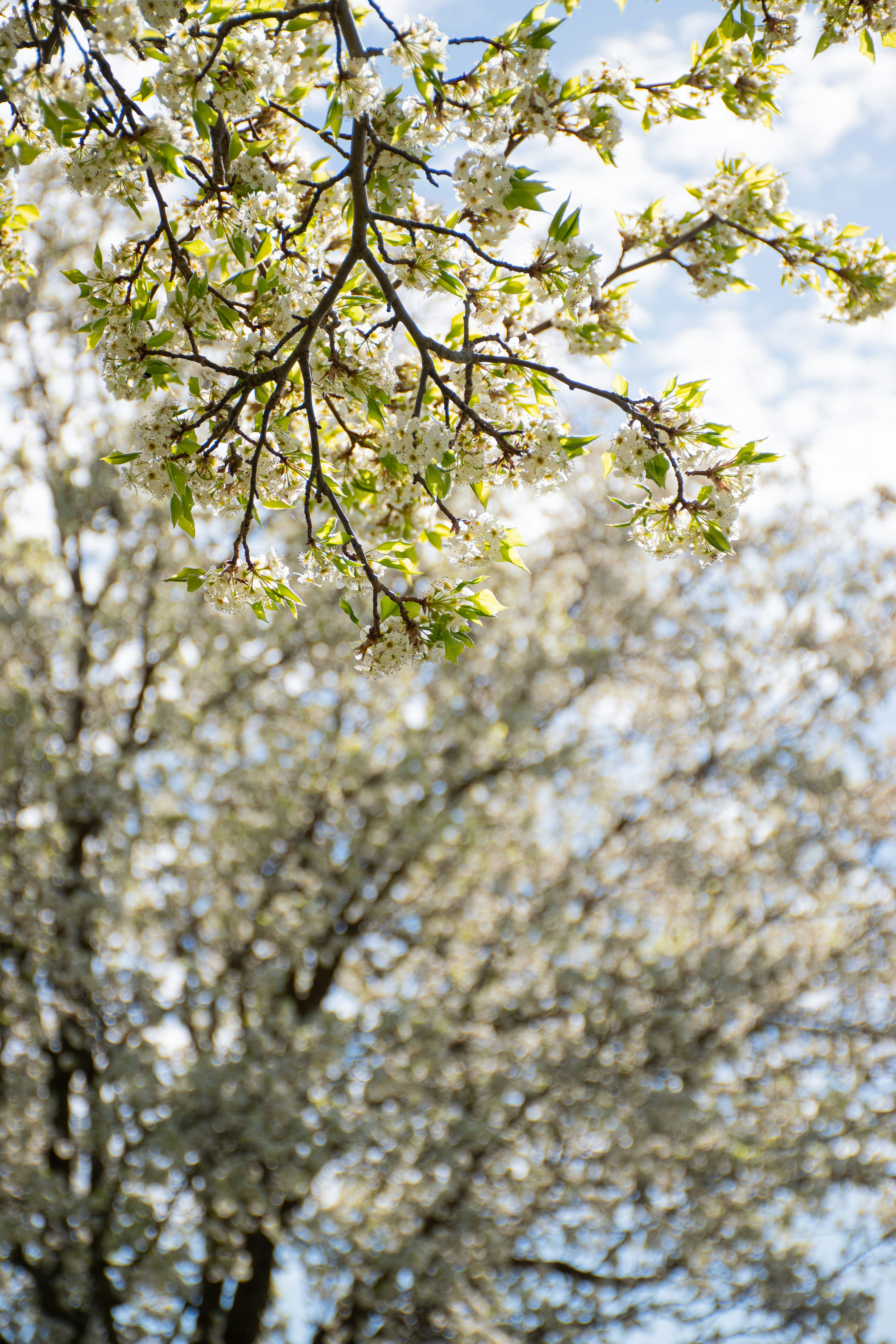 Photo by adam_skrinnikoff