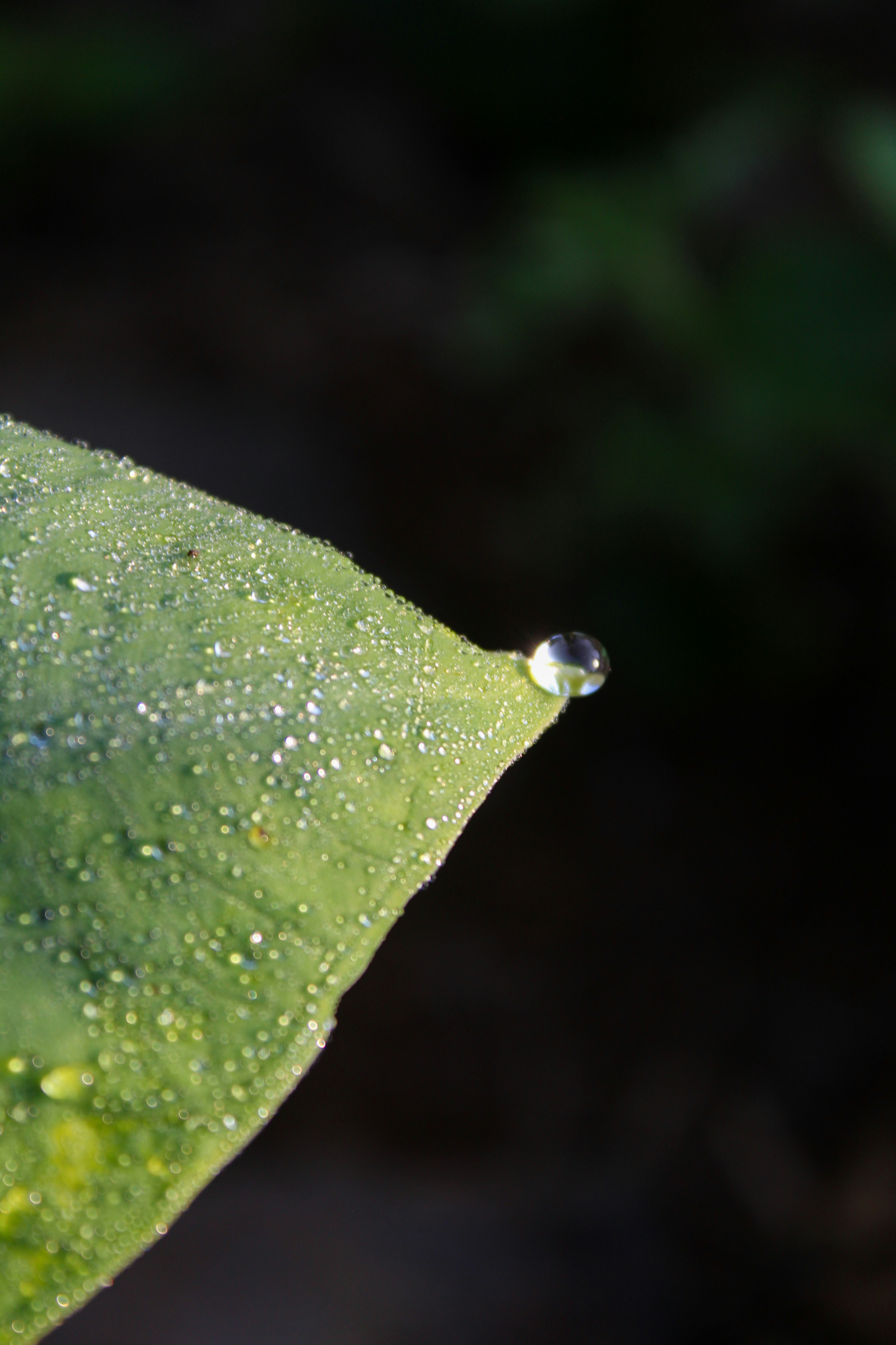 Photo by fay_graphic