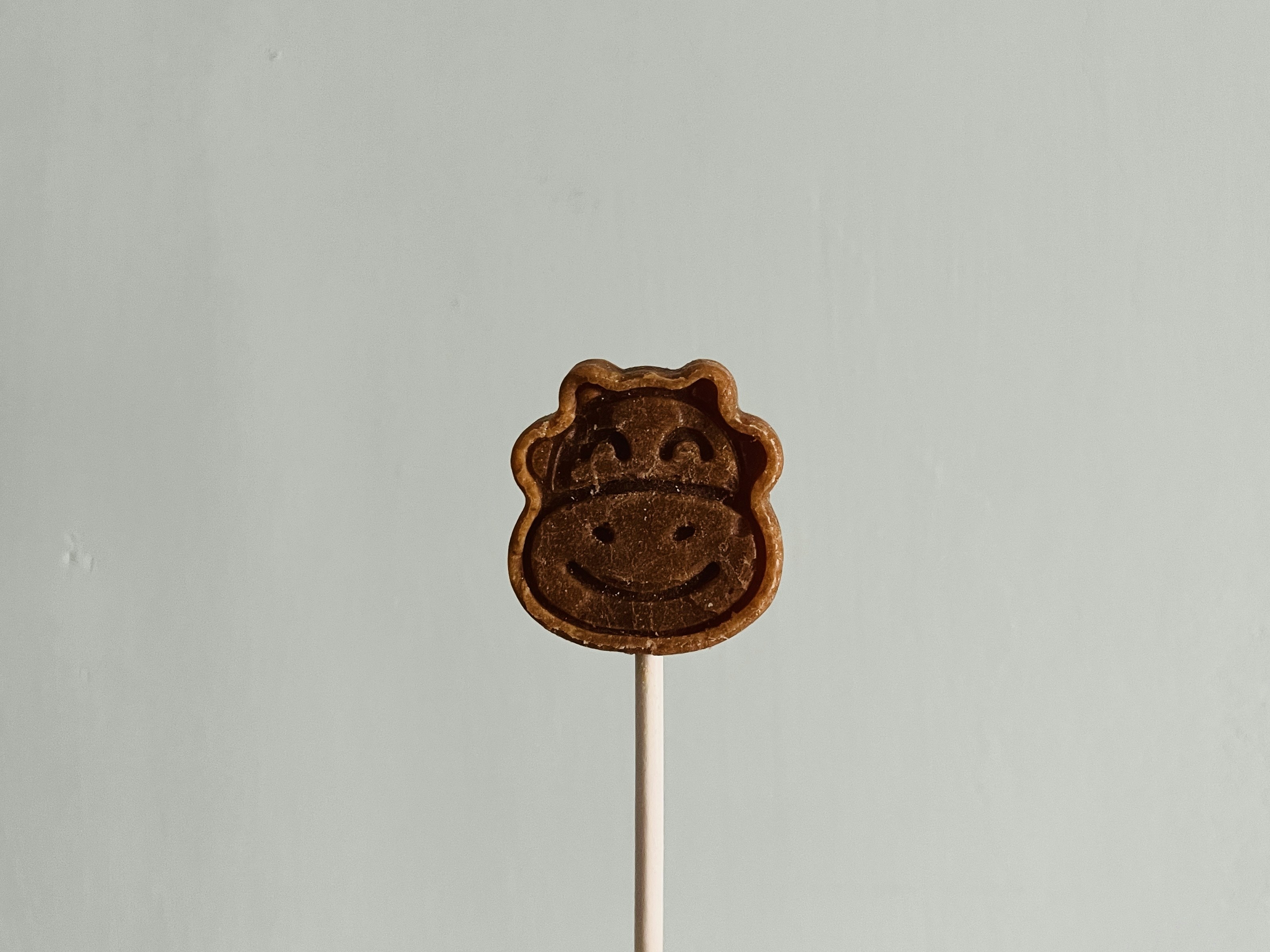 Ein Keks auf einem Stiel auf einem Tisch