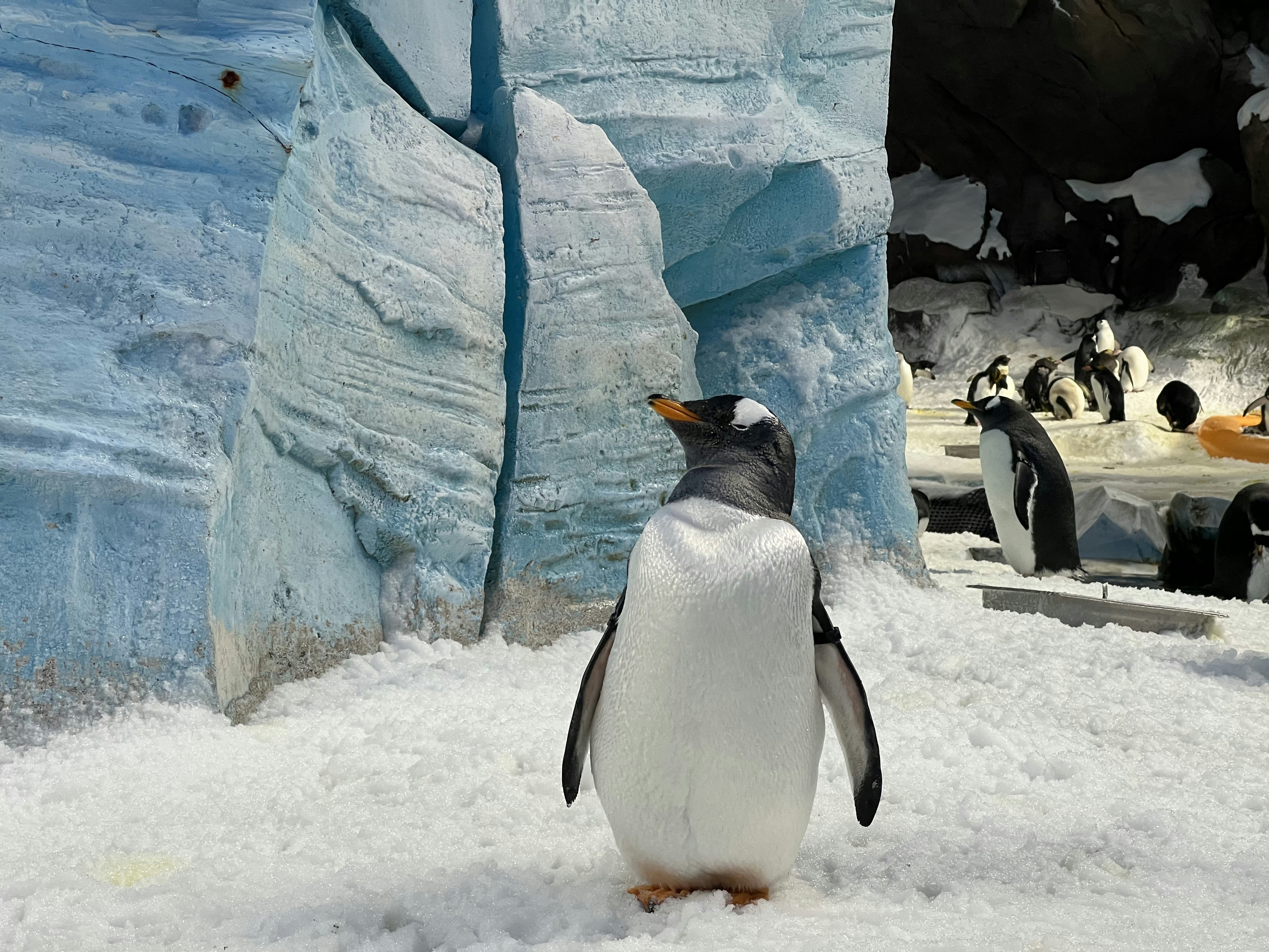 Başarınızın Önündeki En Büyük Engel Kendiniz Olabilir misiniz?