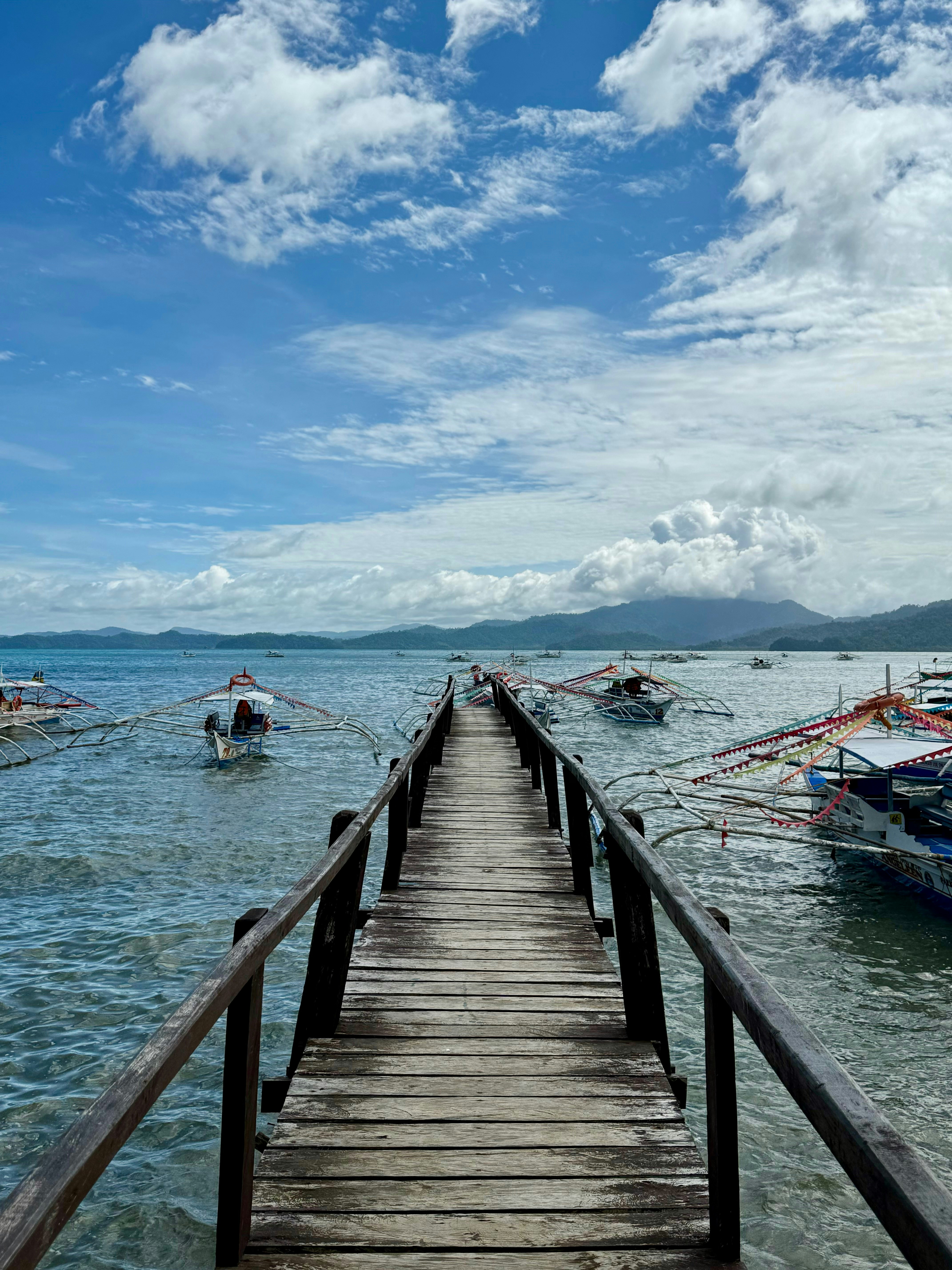 Photo by dharlequin