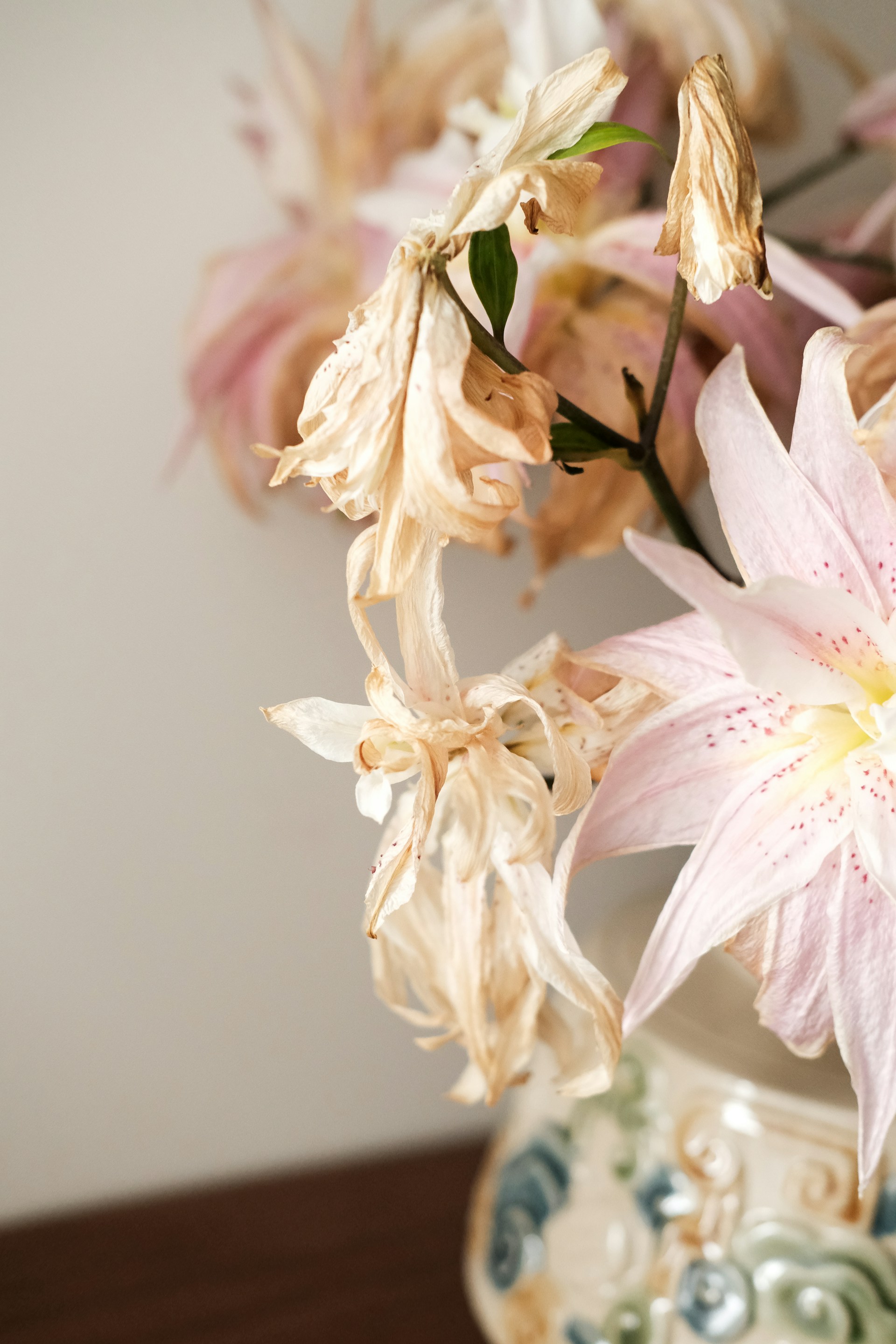 A close up of a vase with flowers in it