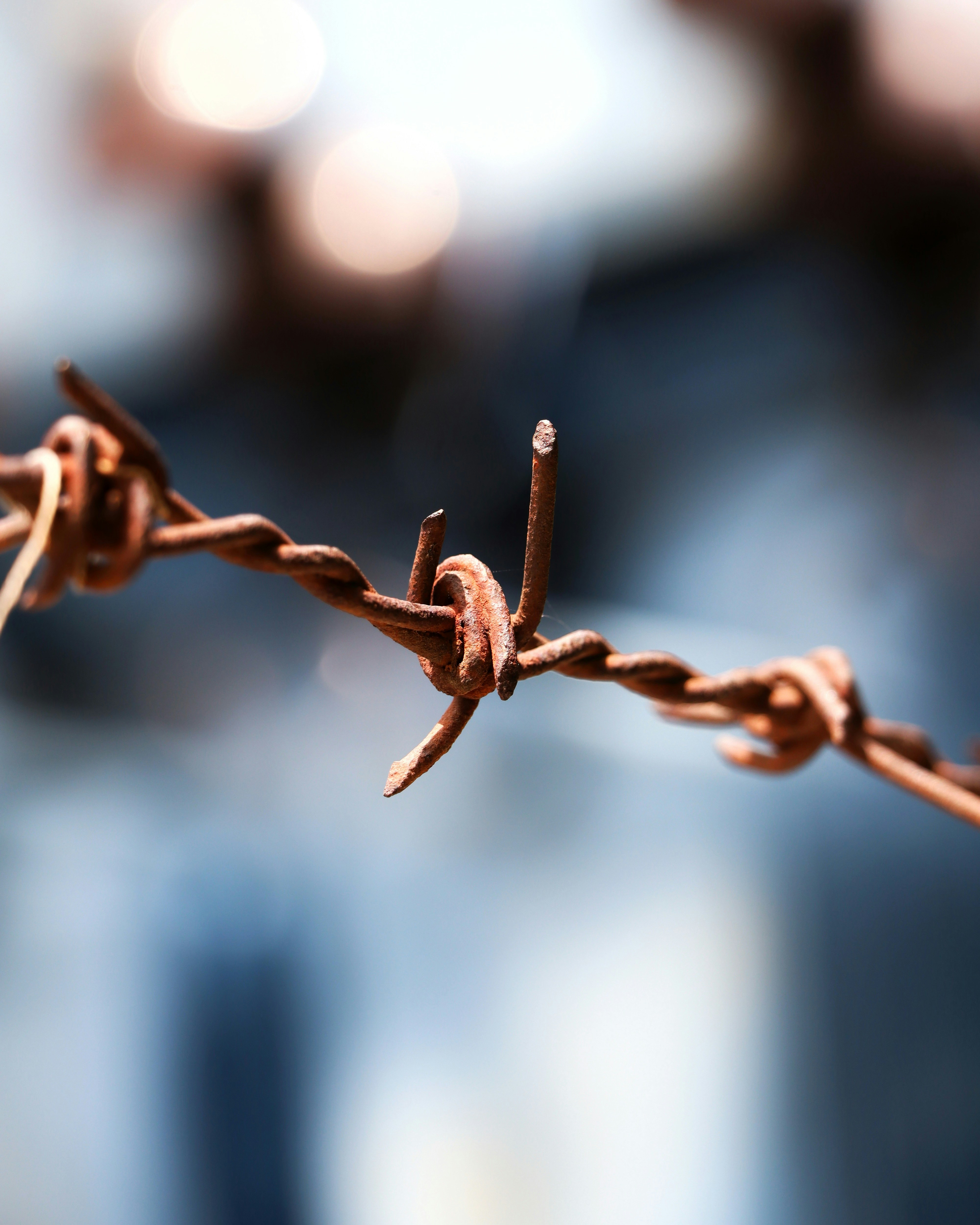 Photo by aditya_sethia_97