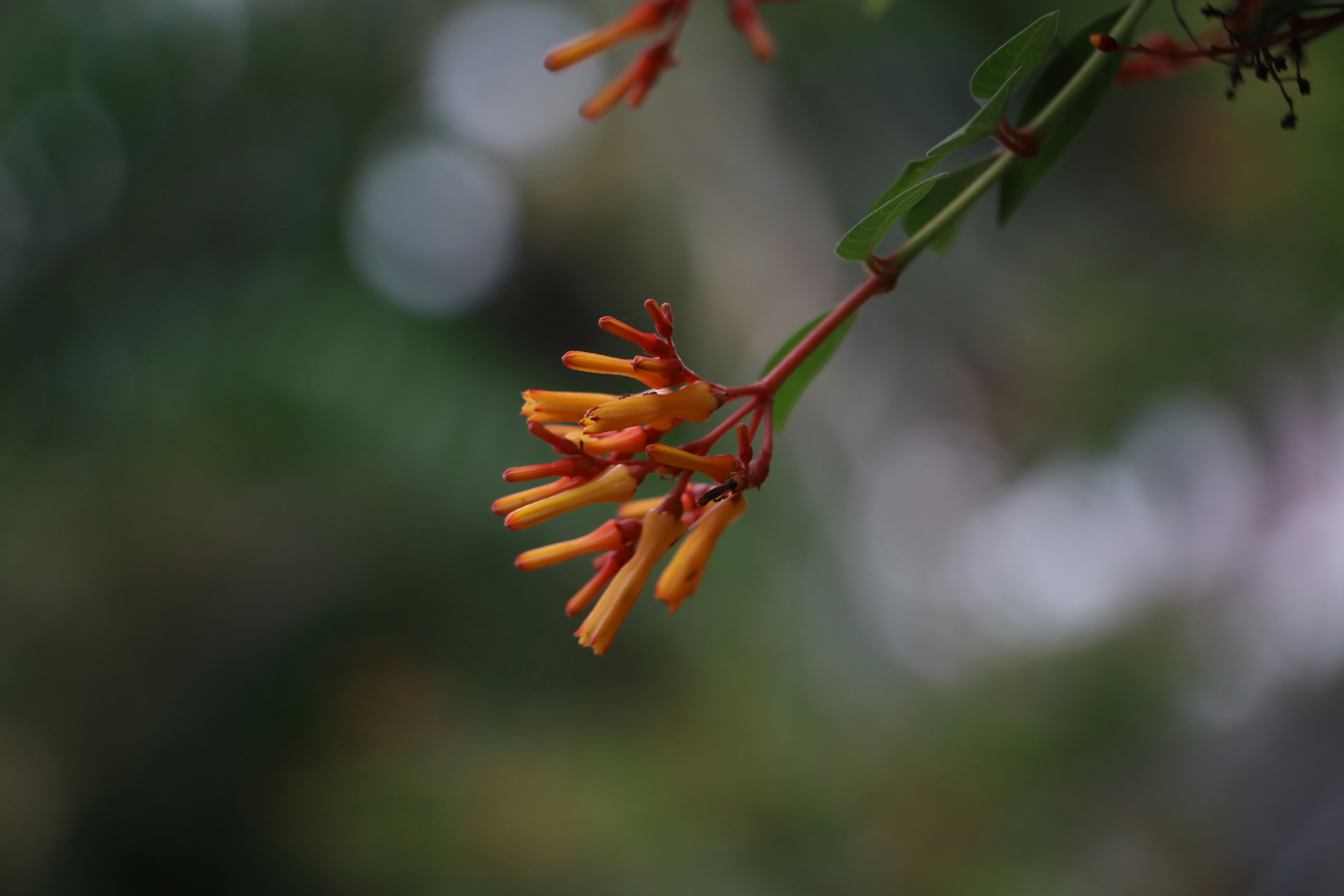 Photo by aditya_sethia_97