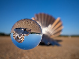 Aldeburgh airbnb
