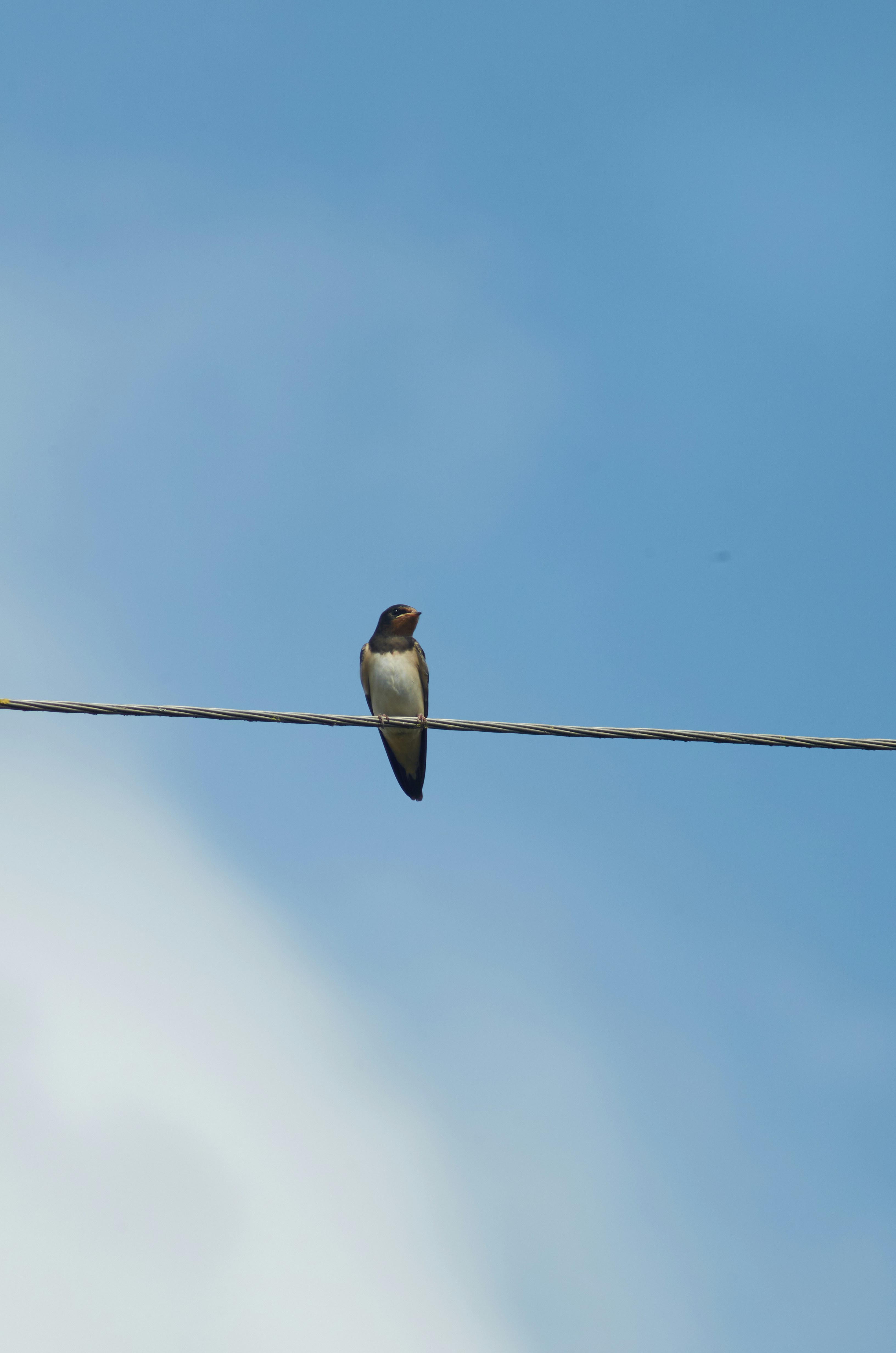 Photo by manuallensfan