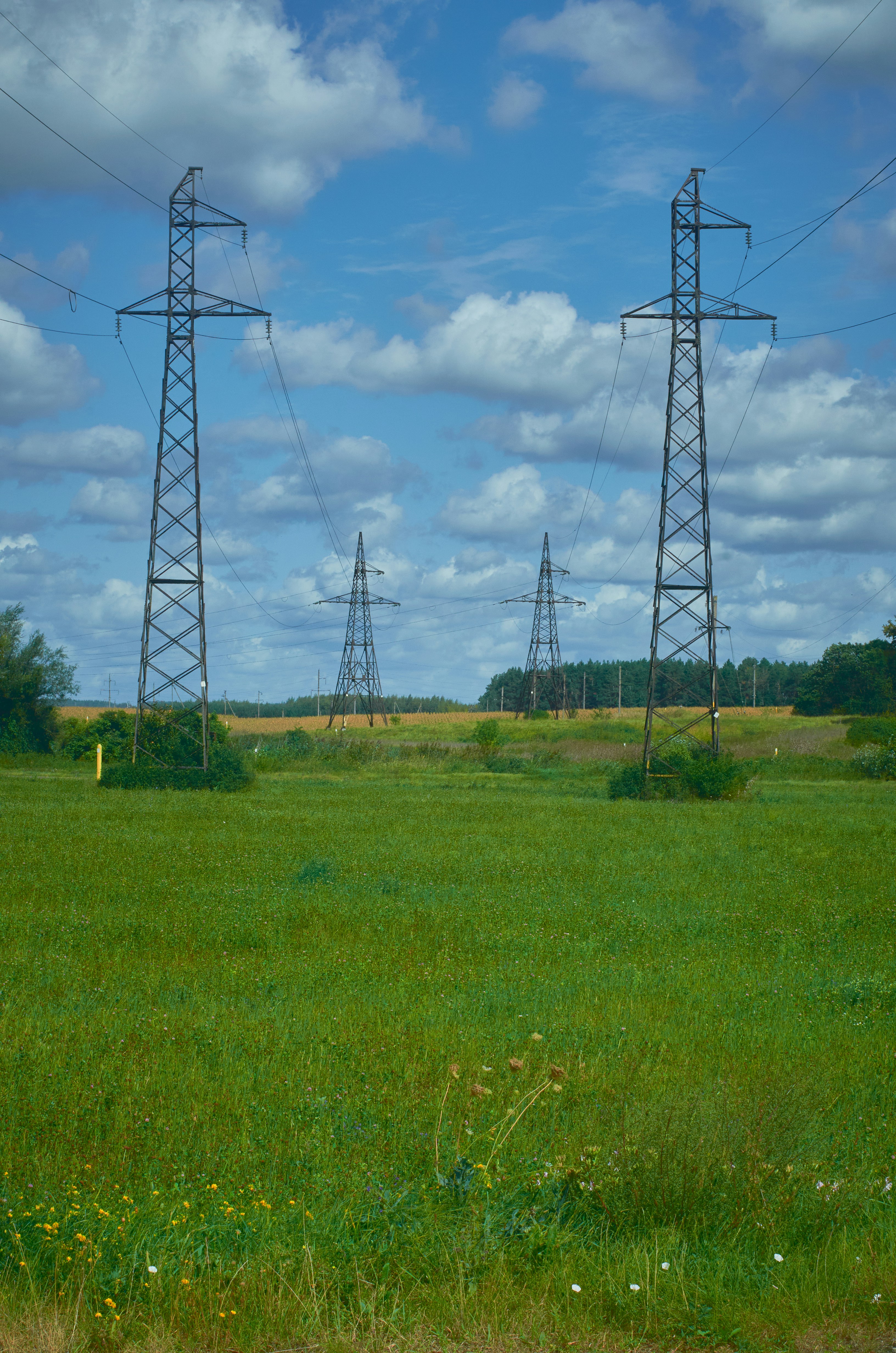 Photo by manuallensfan