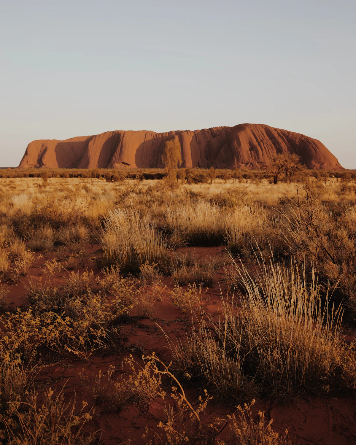 Australia landscape