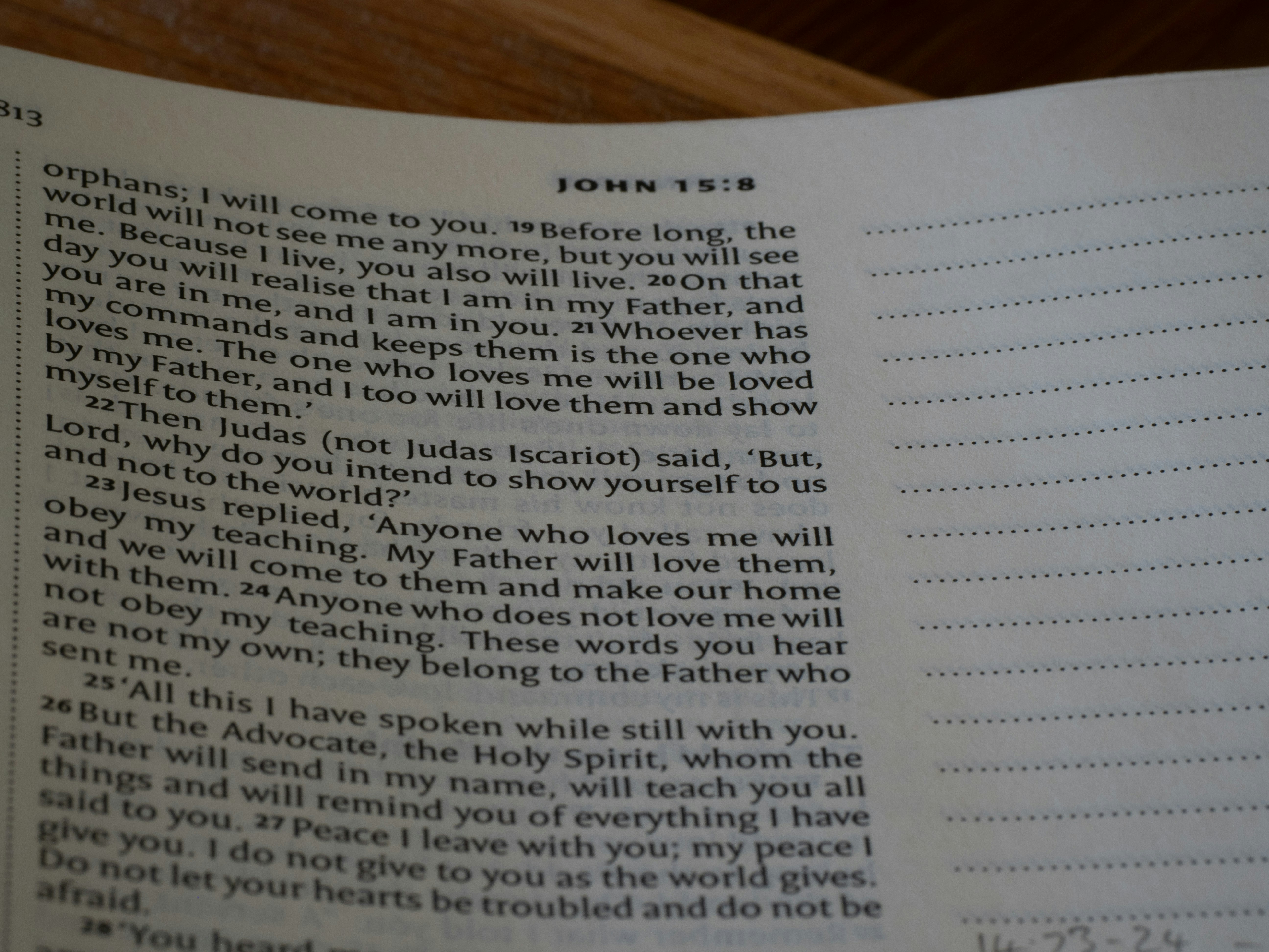 close up, bokeh, bible, new testament, christian, history, text, reading, bible study, devotions, christianity, scripture, Gospel of John, John, Gospel,