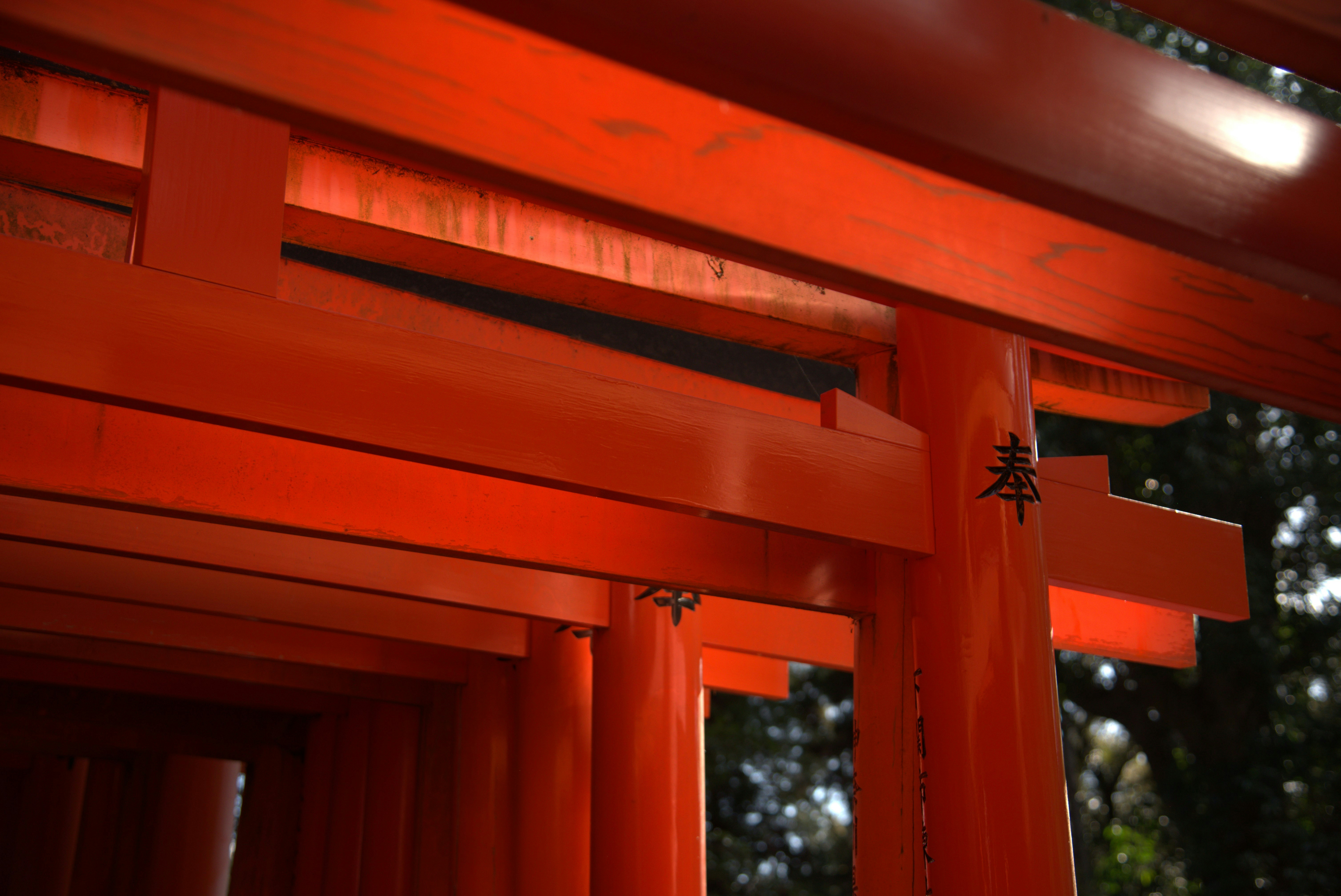 Photo by digitalhight