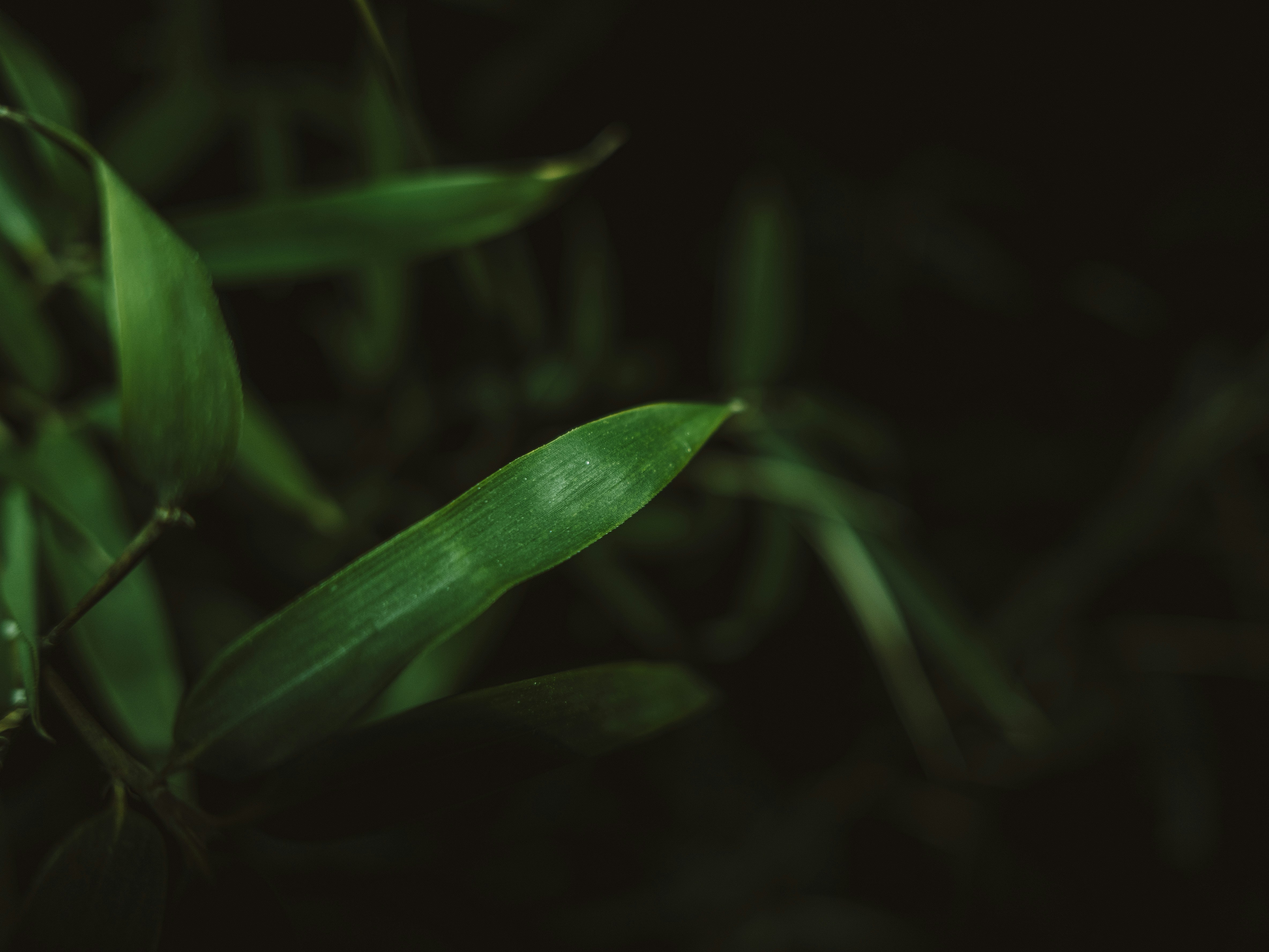 Photo by xiazheng1995