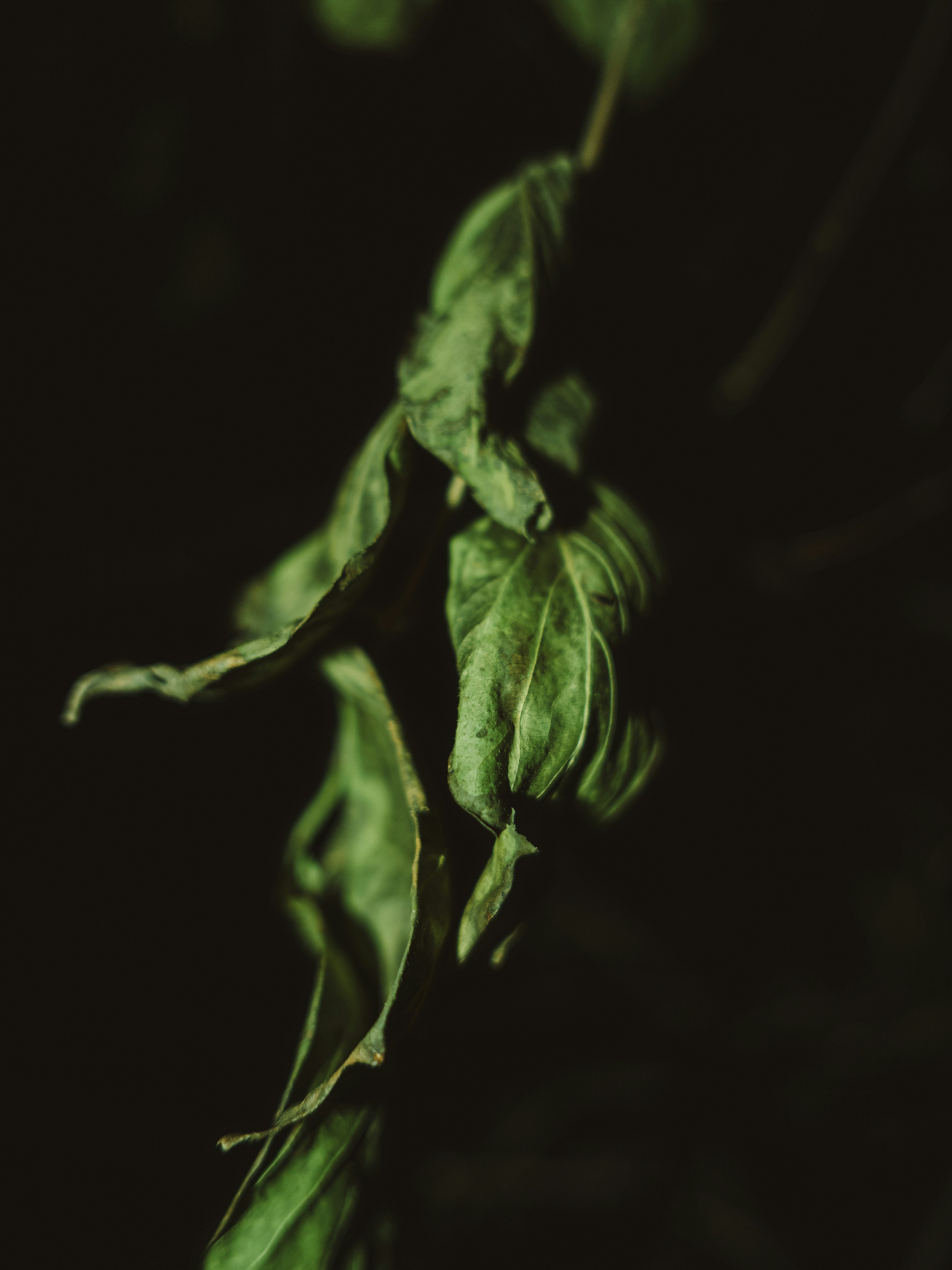 Photo by xiazheng1995