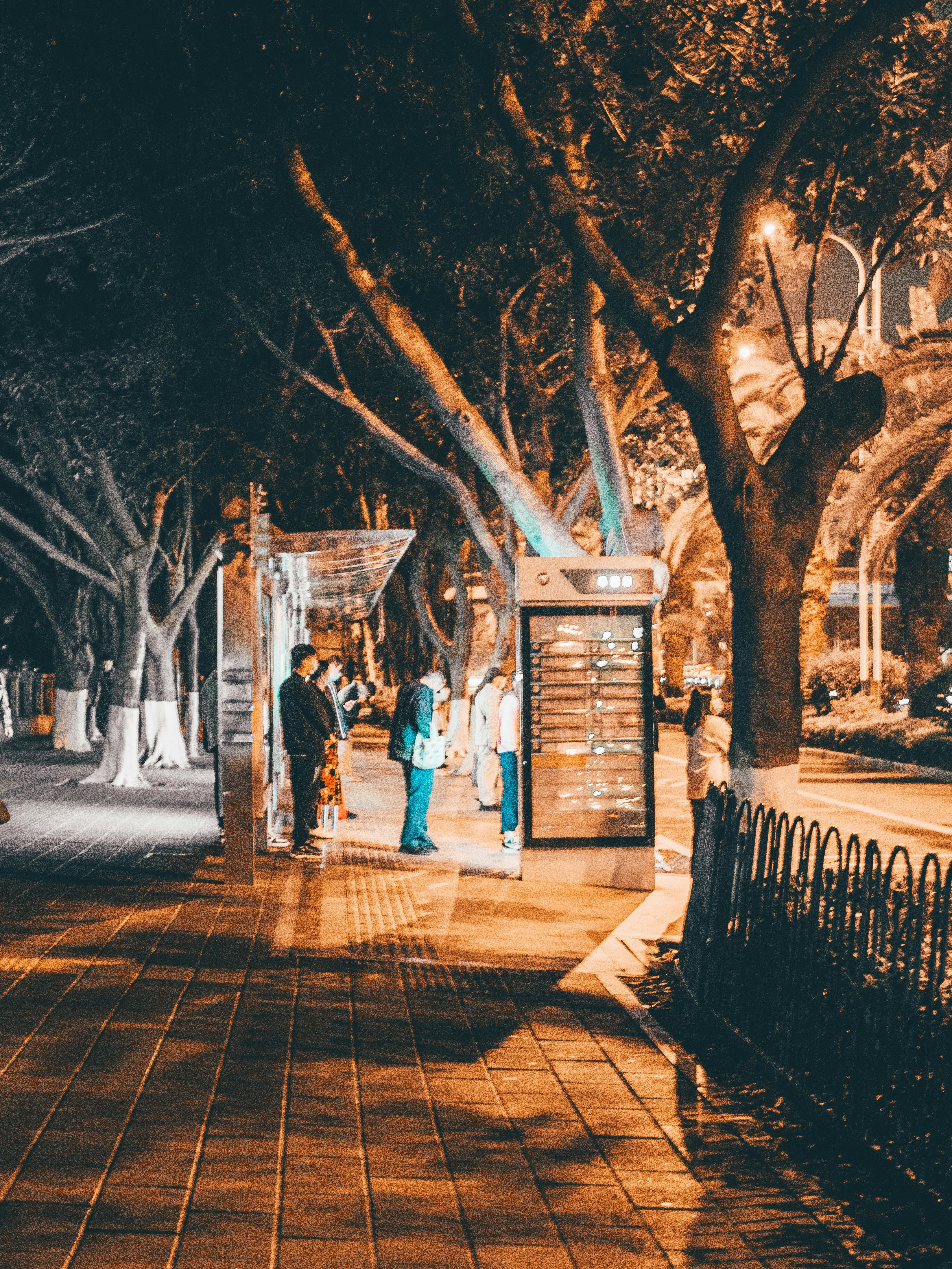 Photo by xiazheng1995