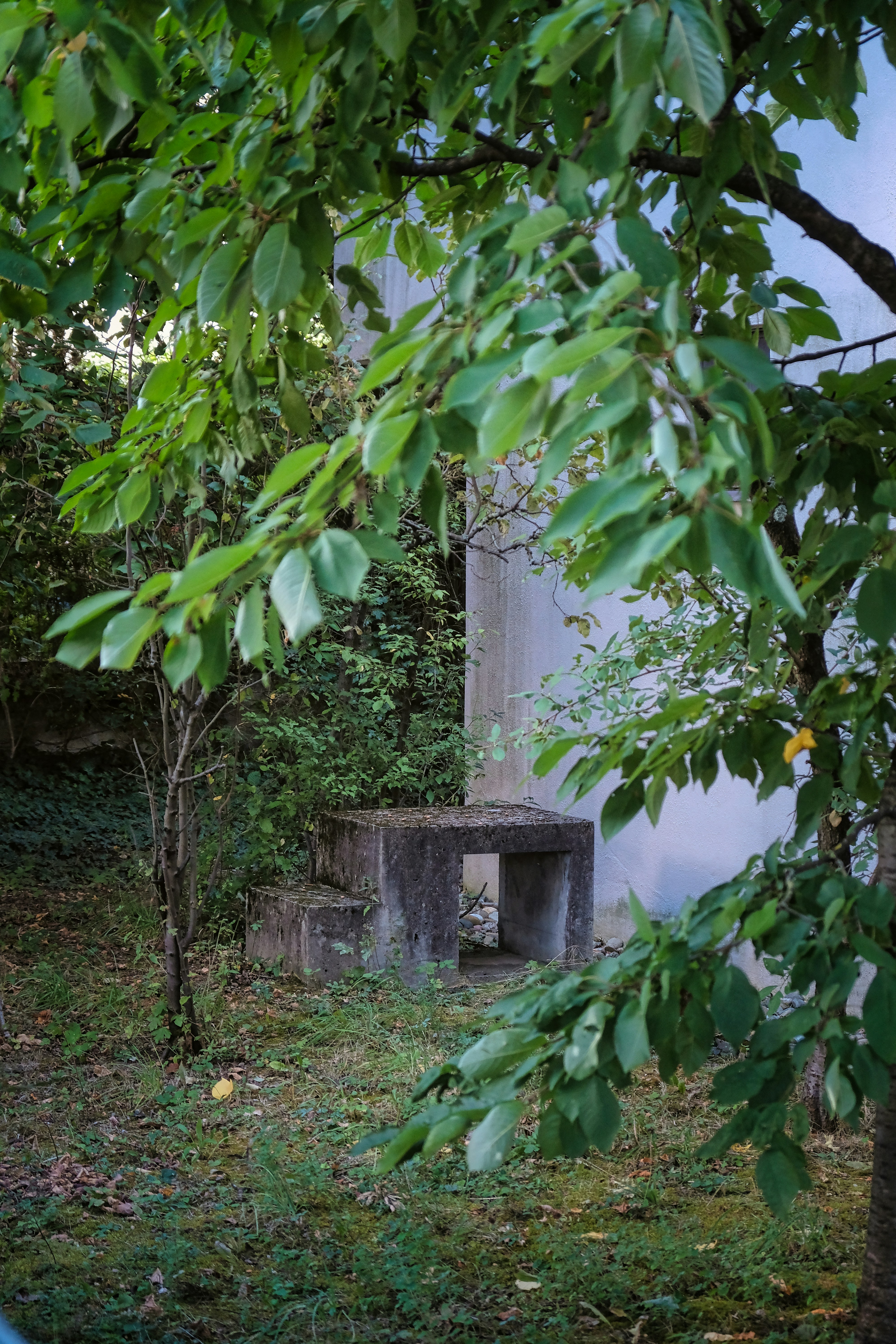 Photo by gunnarridder