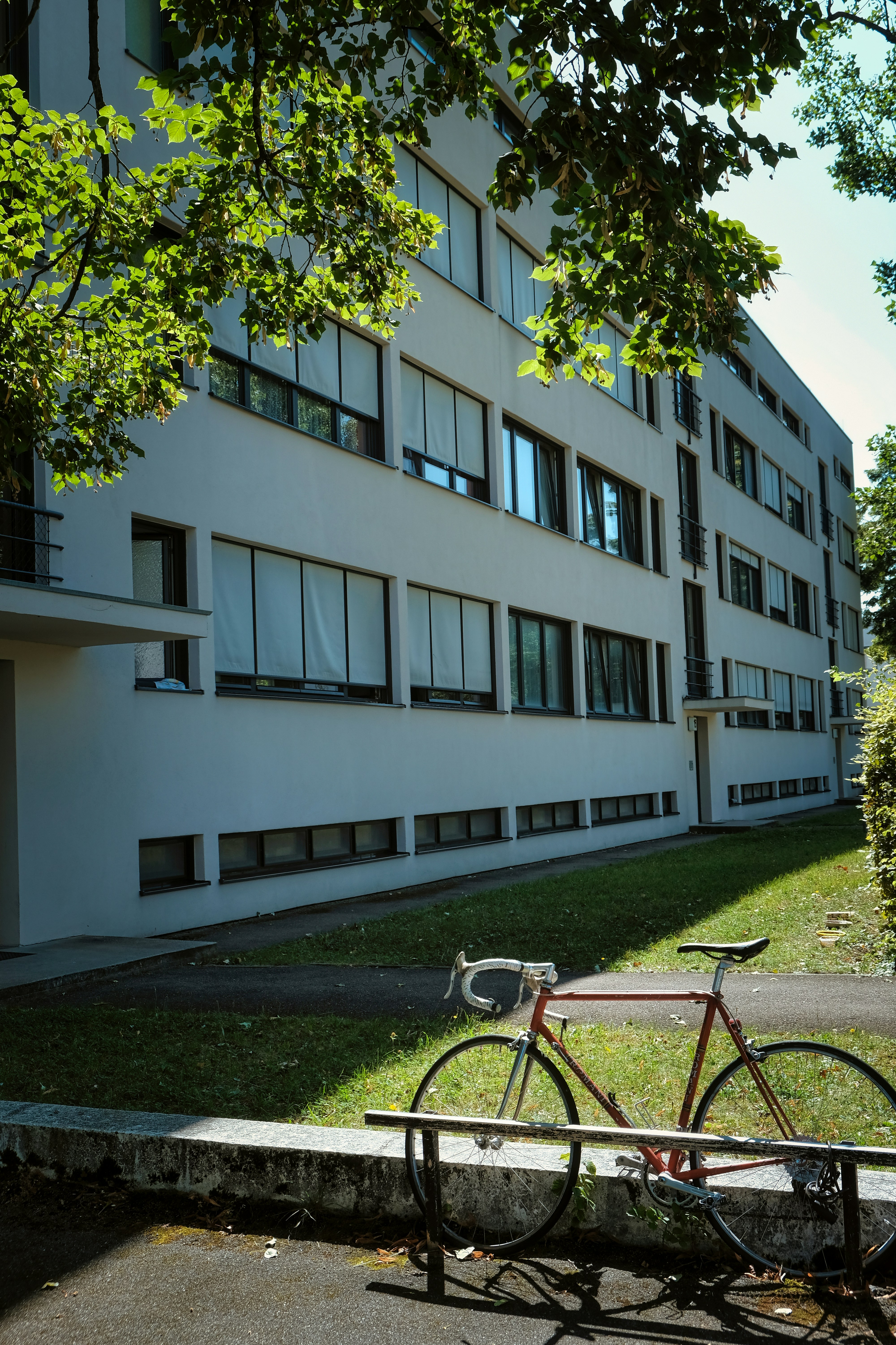 Photo by gunnarridder