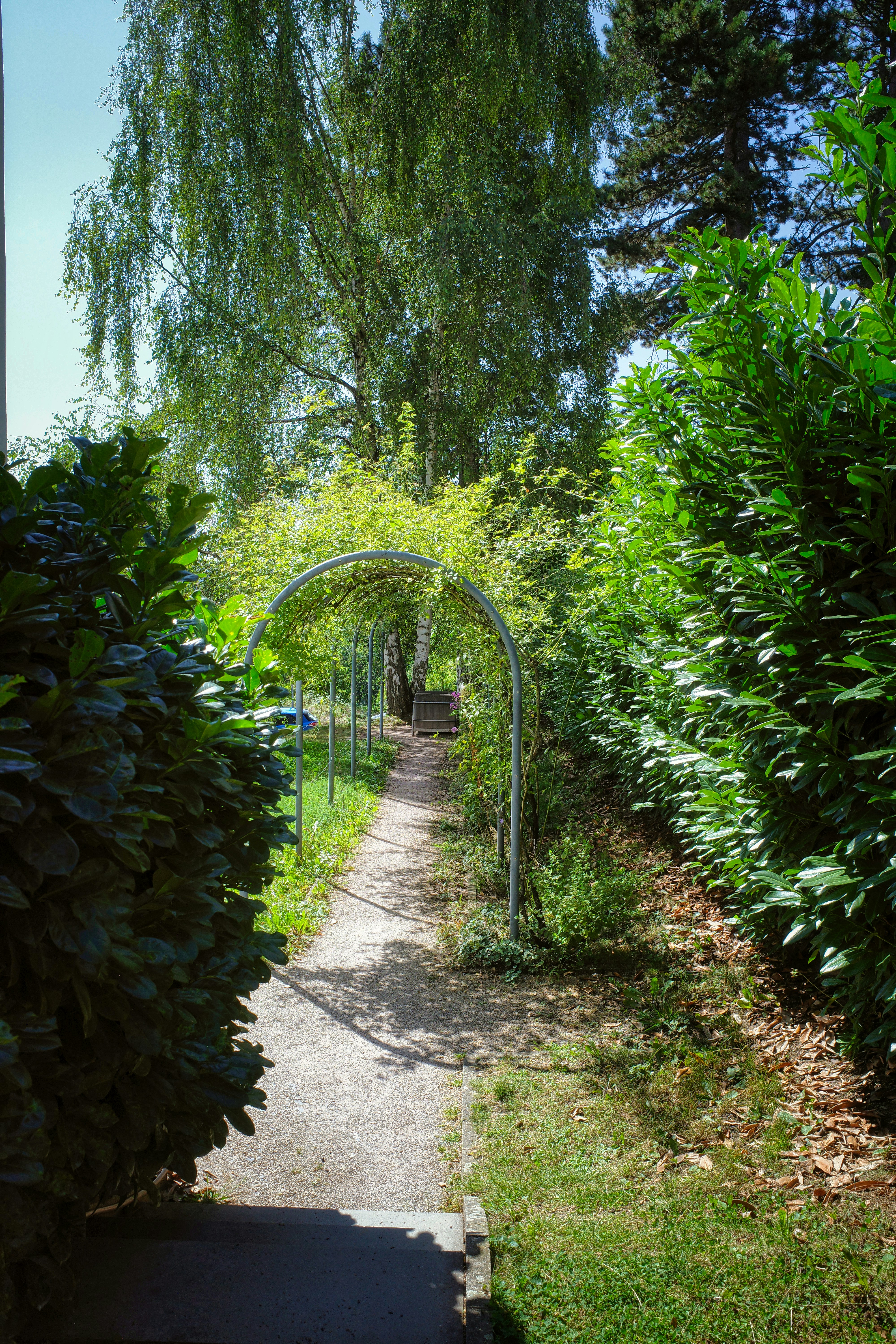 Photo by gunnarridder