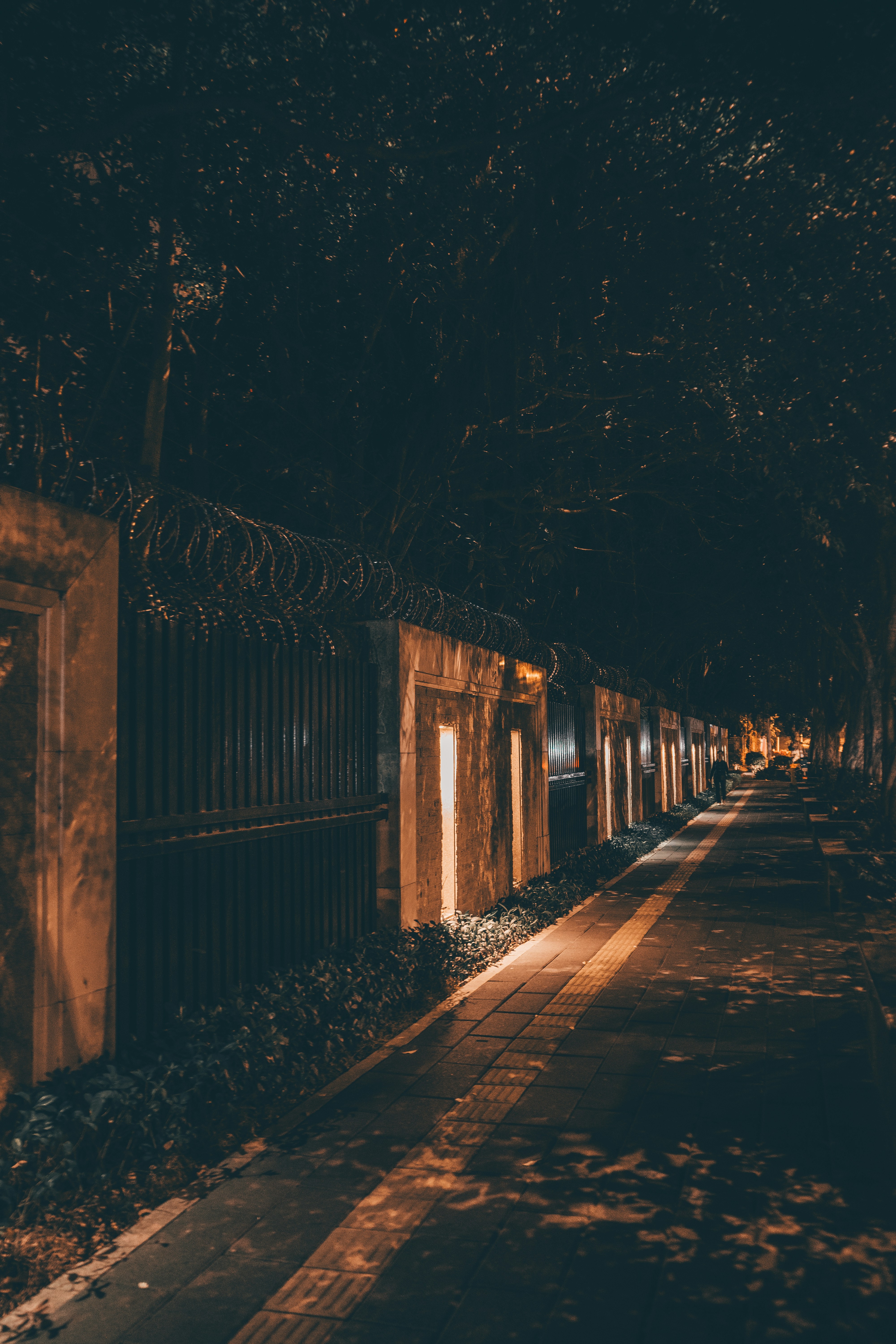 Photo by xiazheng1995