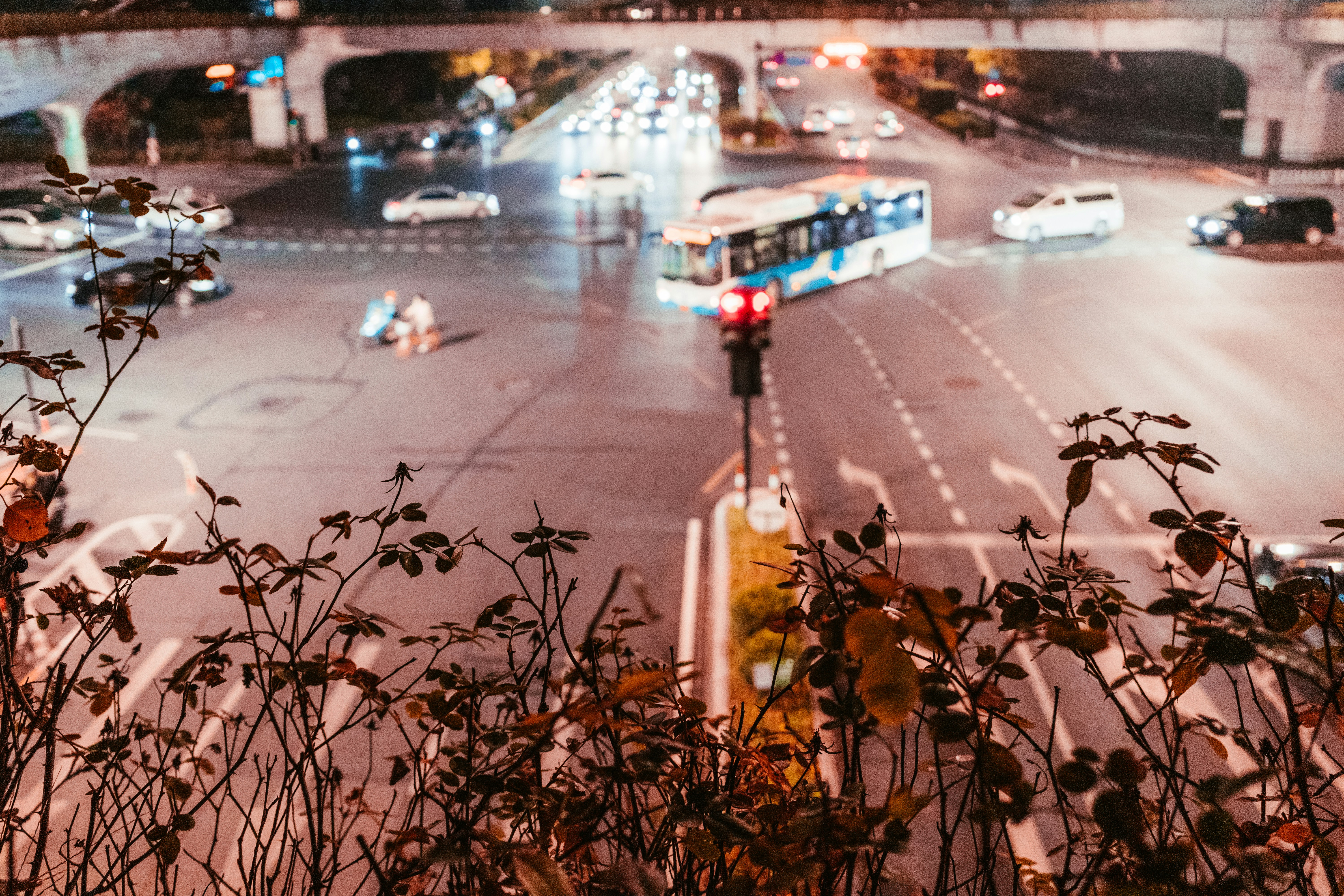 Photo by xiazheng1995