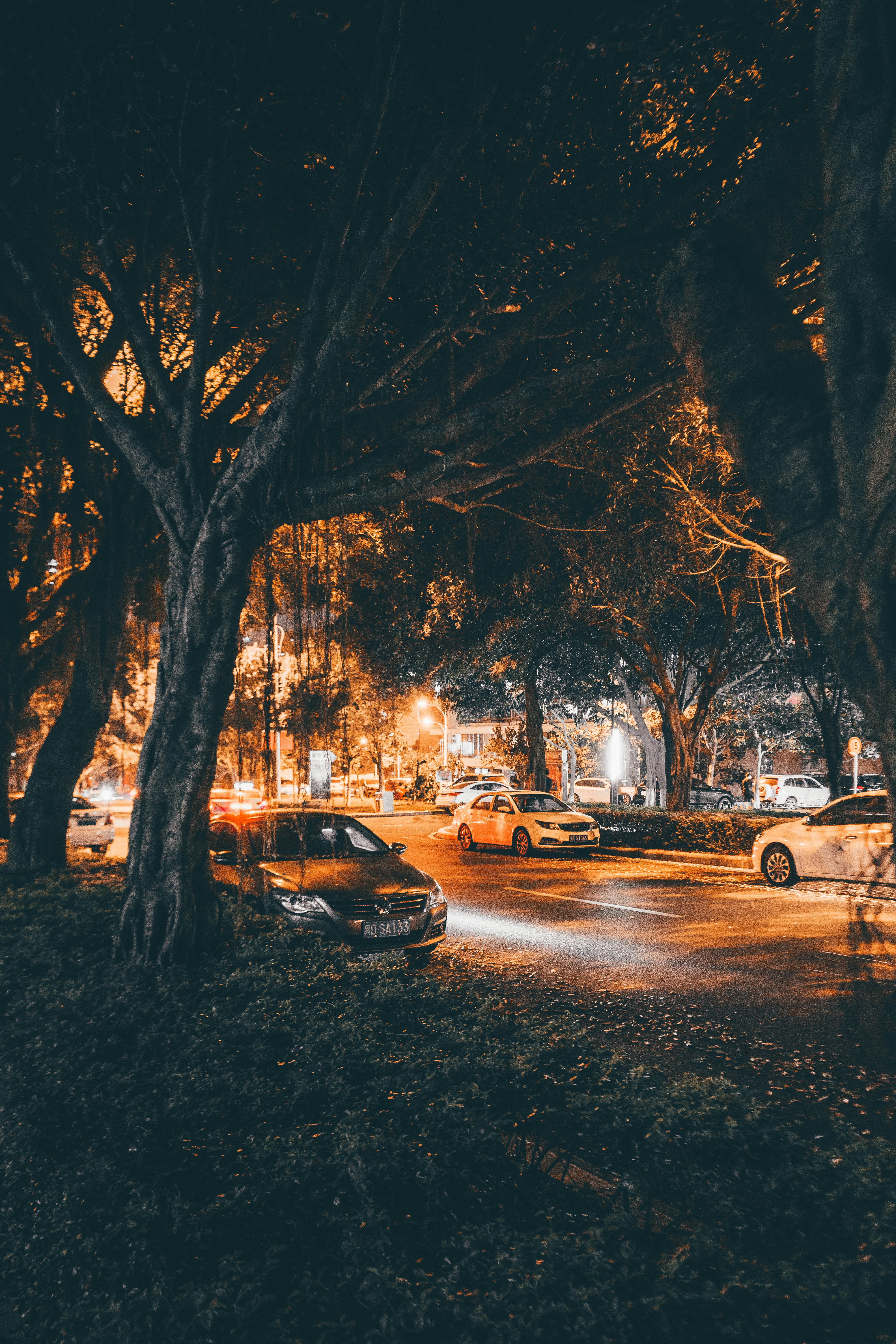 Photo by xiazheng1995