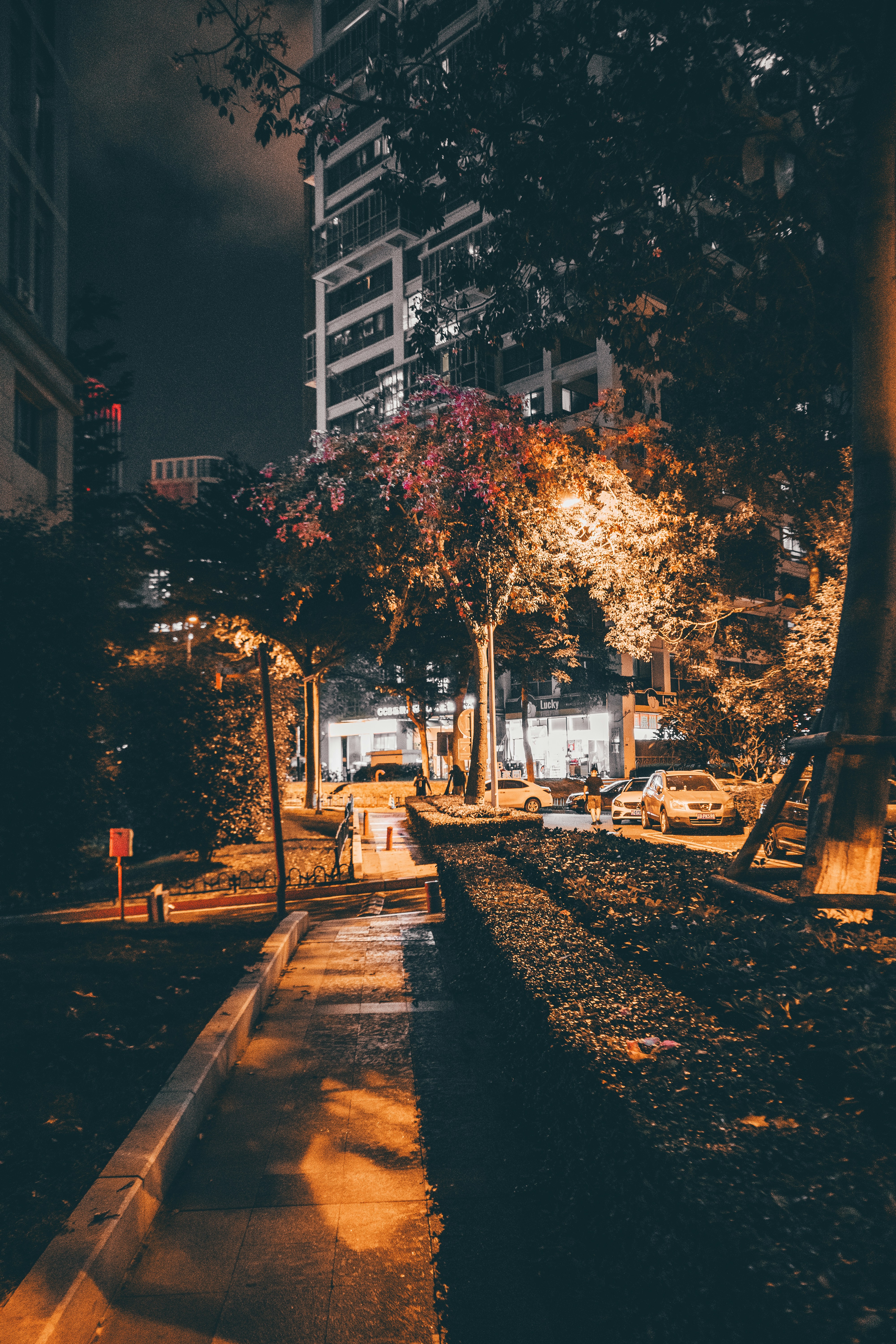A city street at night with tall buildings in the background