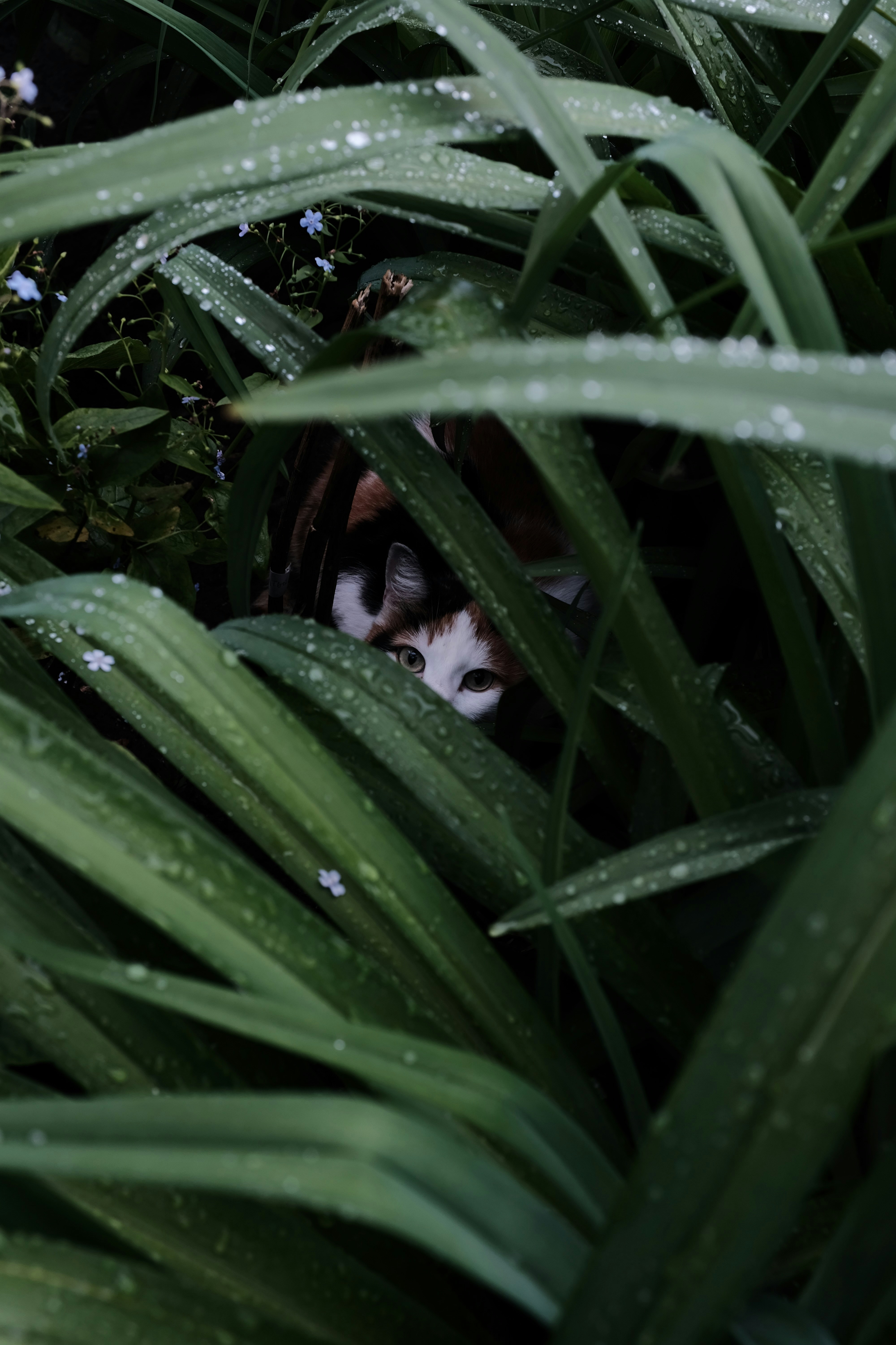 Photo by alekseixagafonov