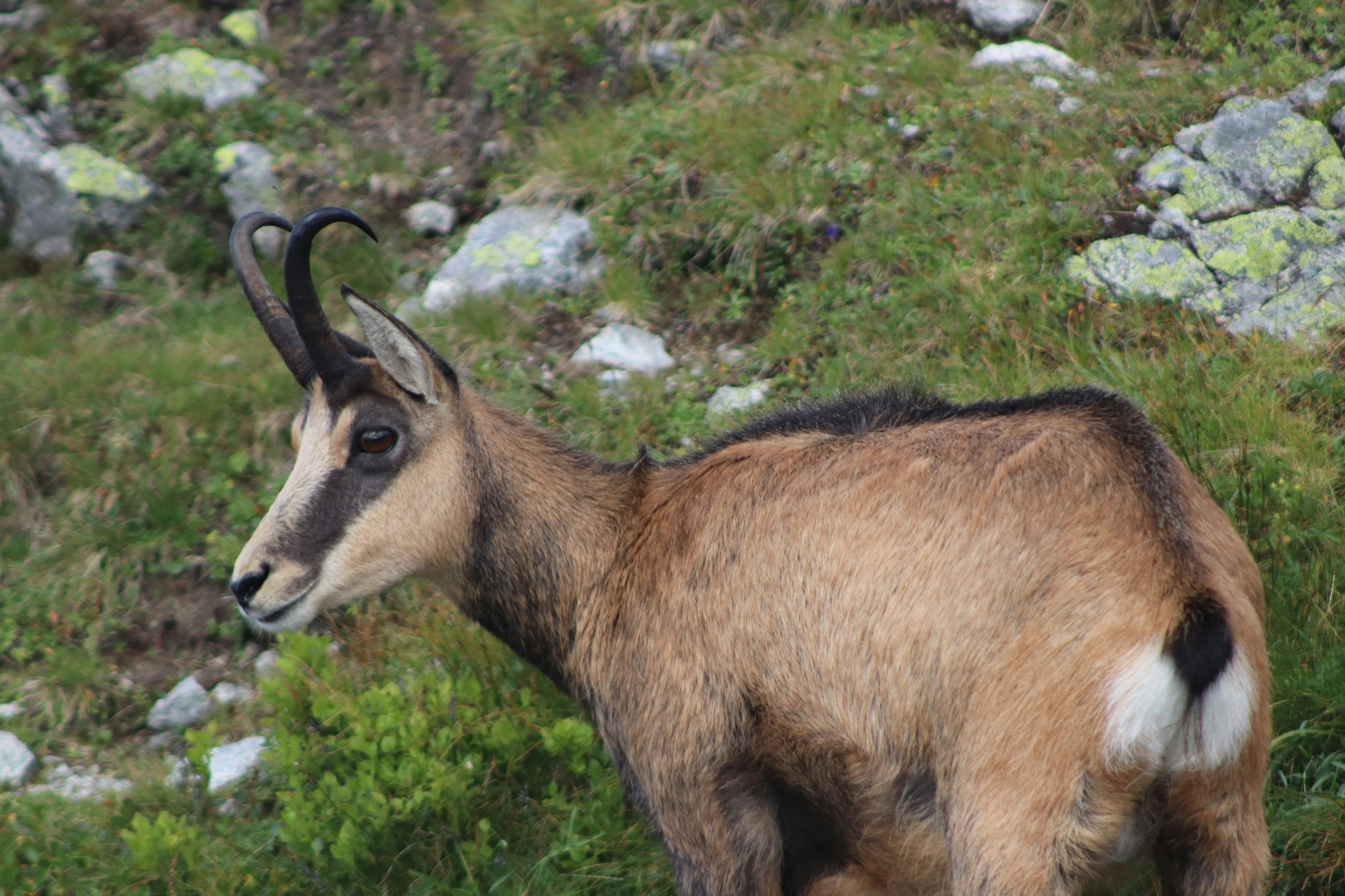 Photo by fajschreurs