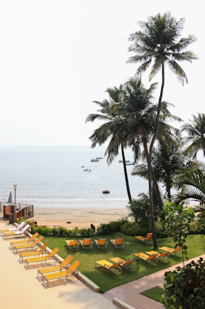 A view of a beach with lawn chairs and palm trees