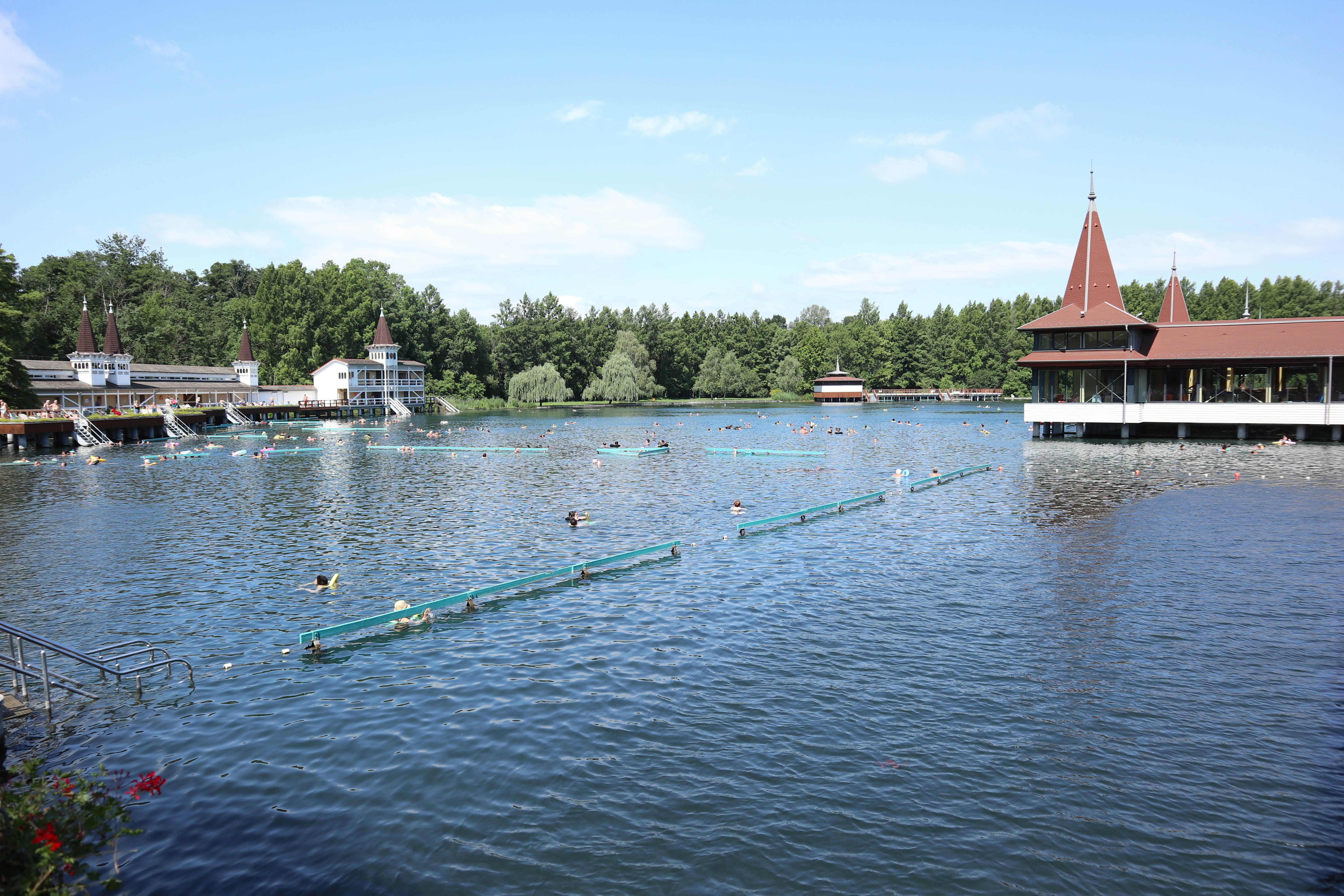 A large body of water surrounded by trees