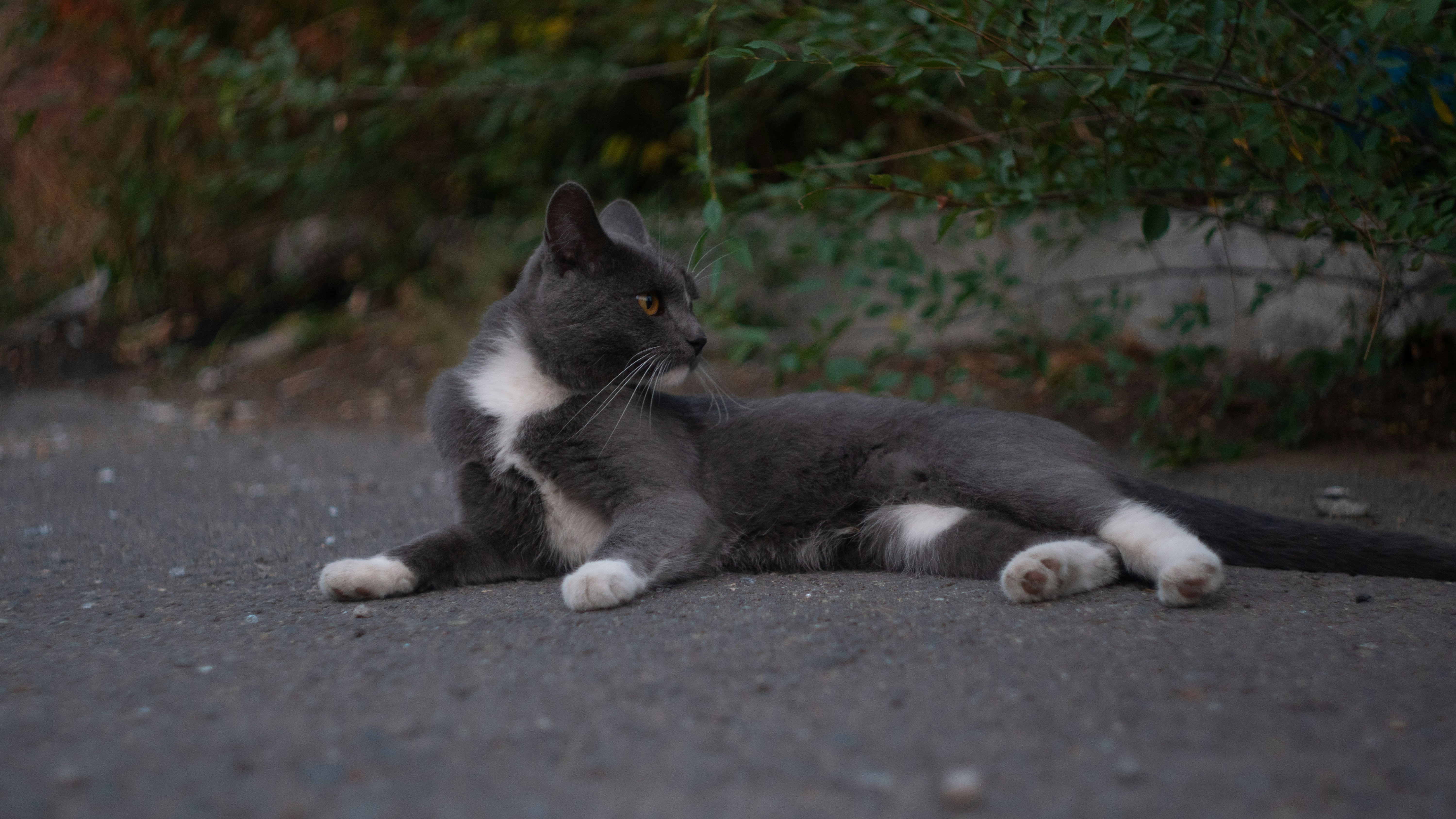 The Difference Between Solitude and Needing Space (image credits: unsplash)