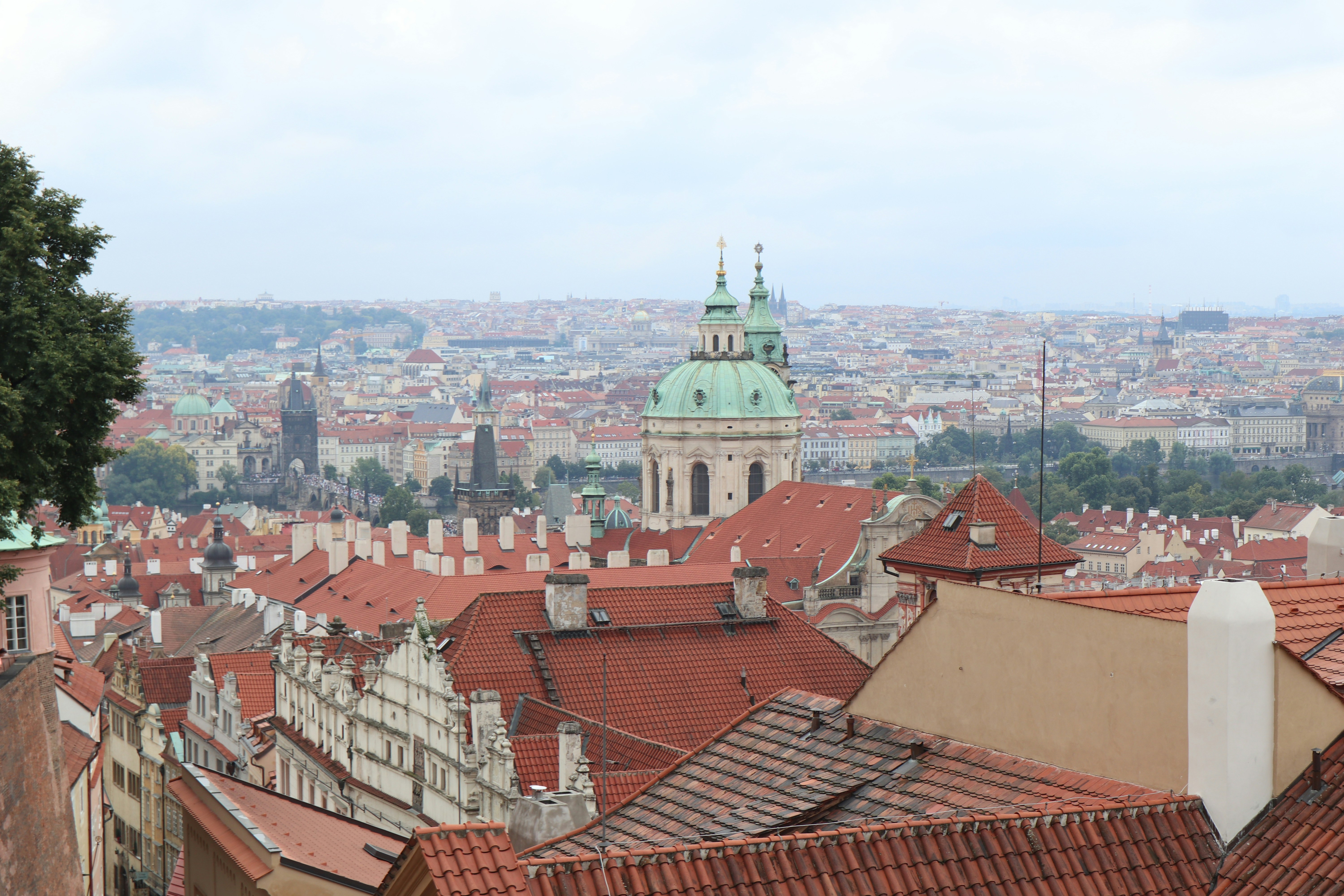 Photo by balint_miko