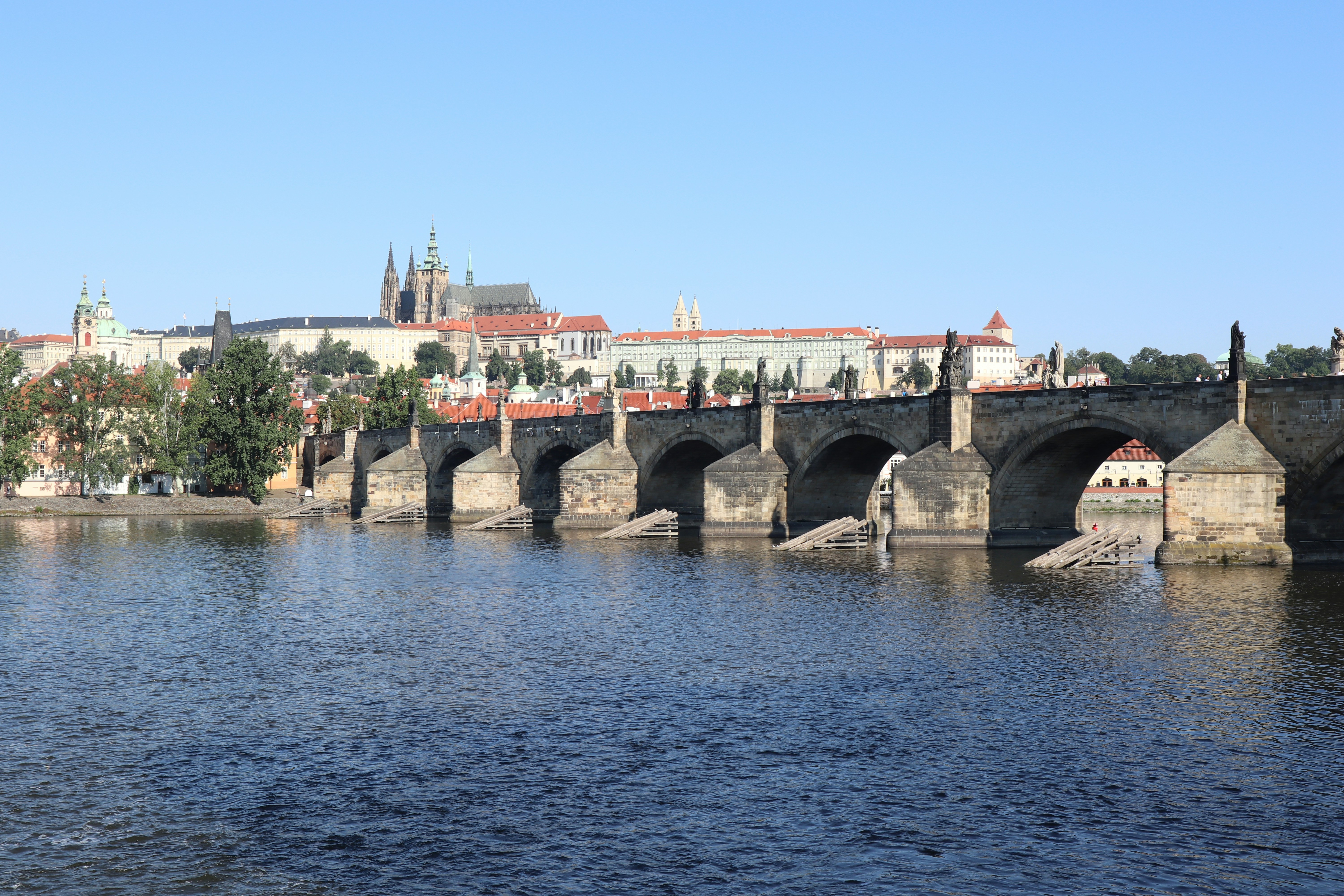 Photo by balint_miko