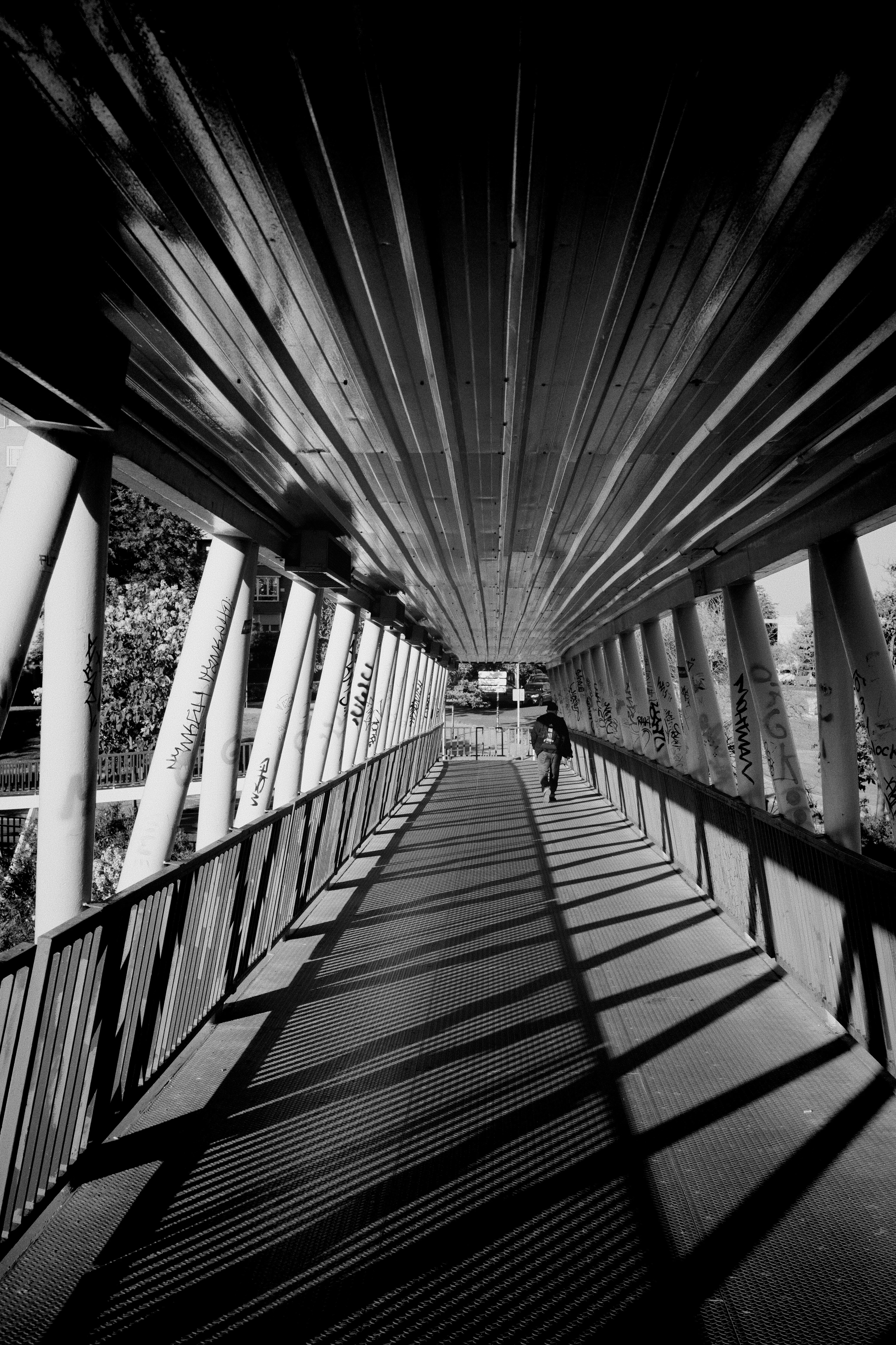 Photo by natanael_laguna