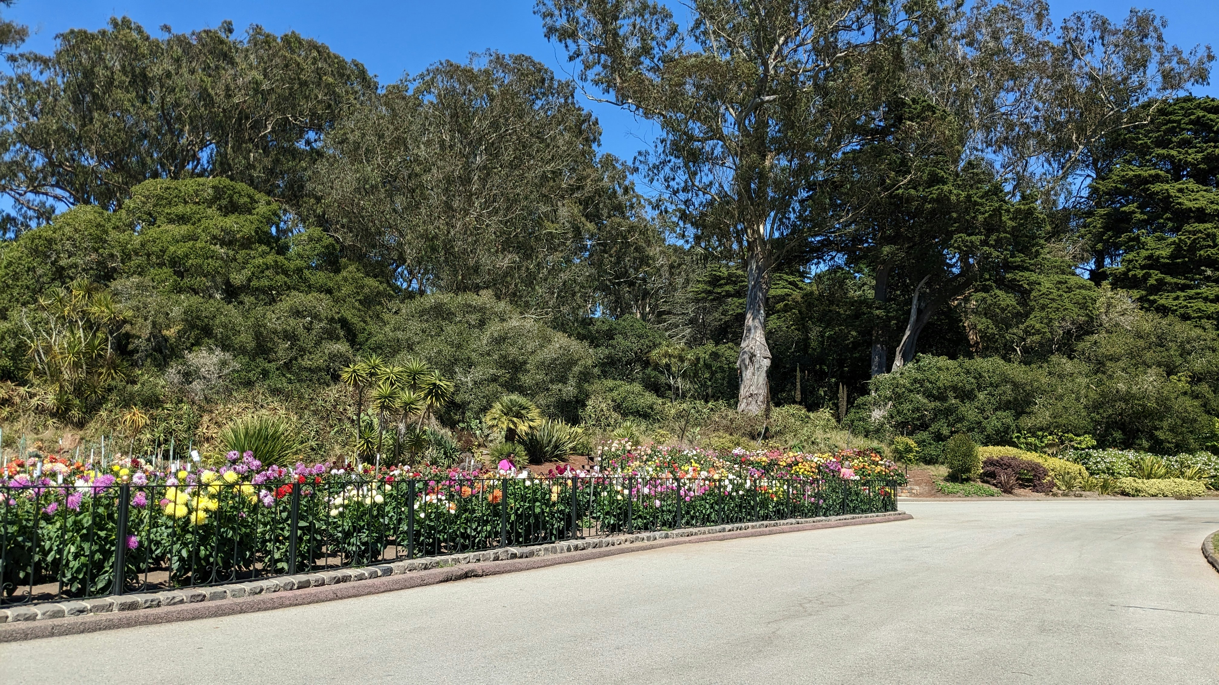 Clark Botanic Garden