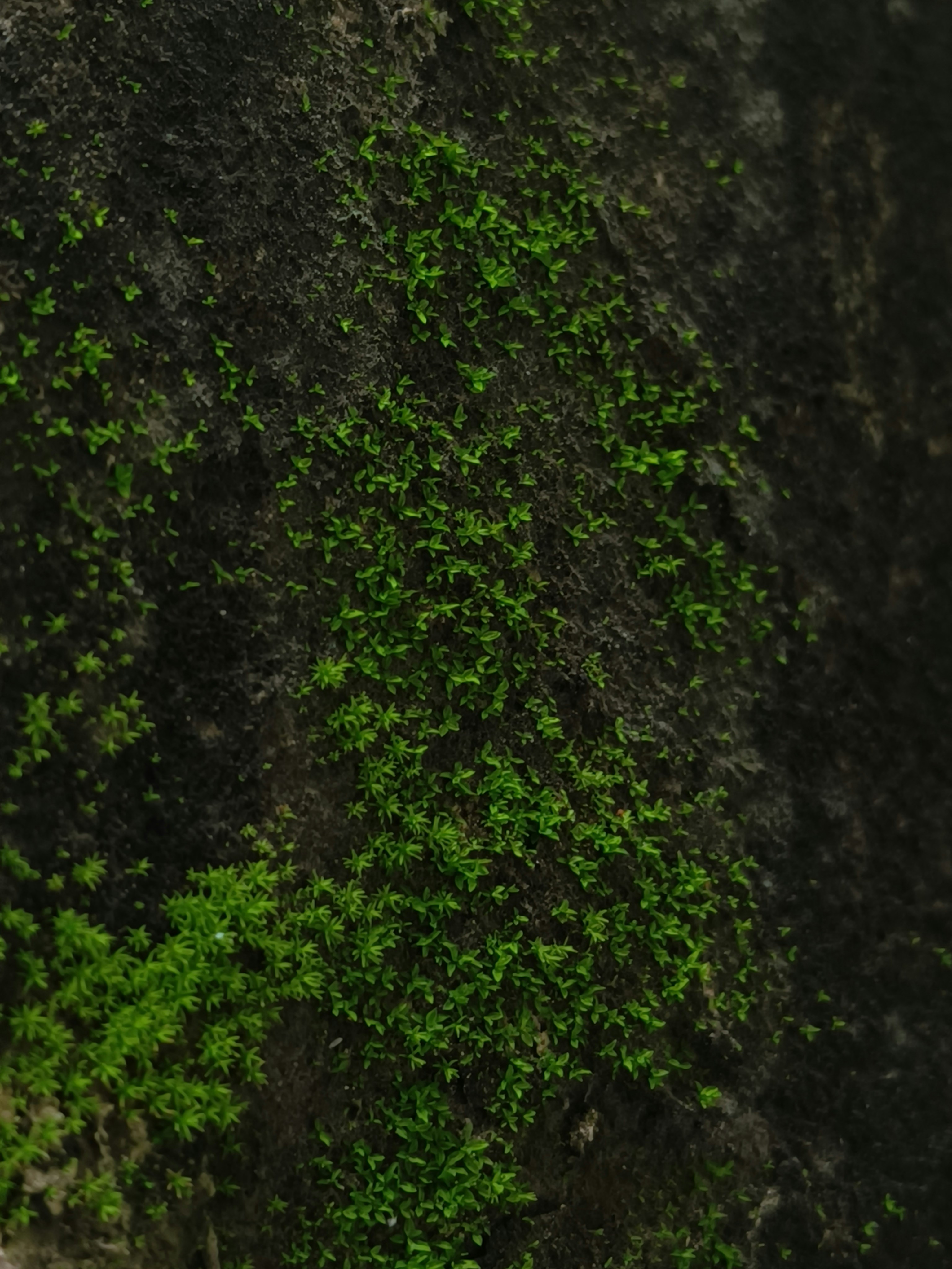 Photo by 420aperture