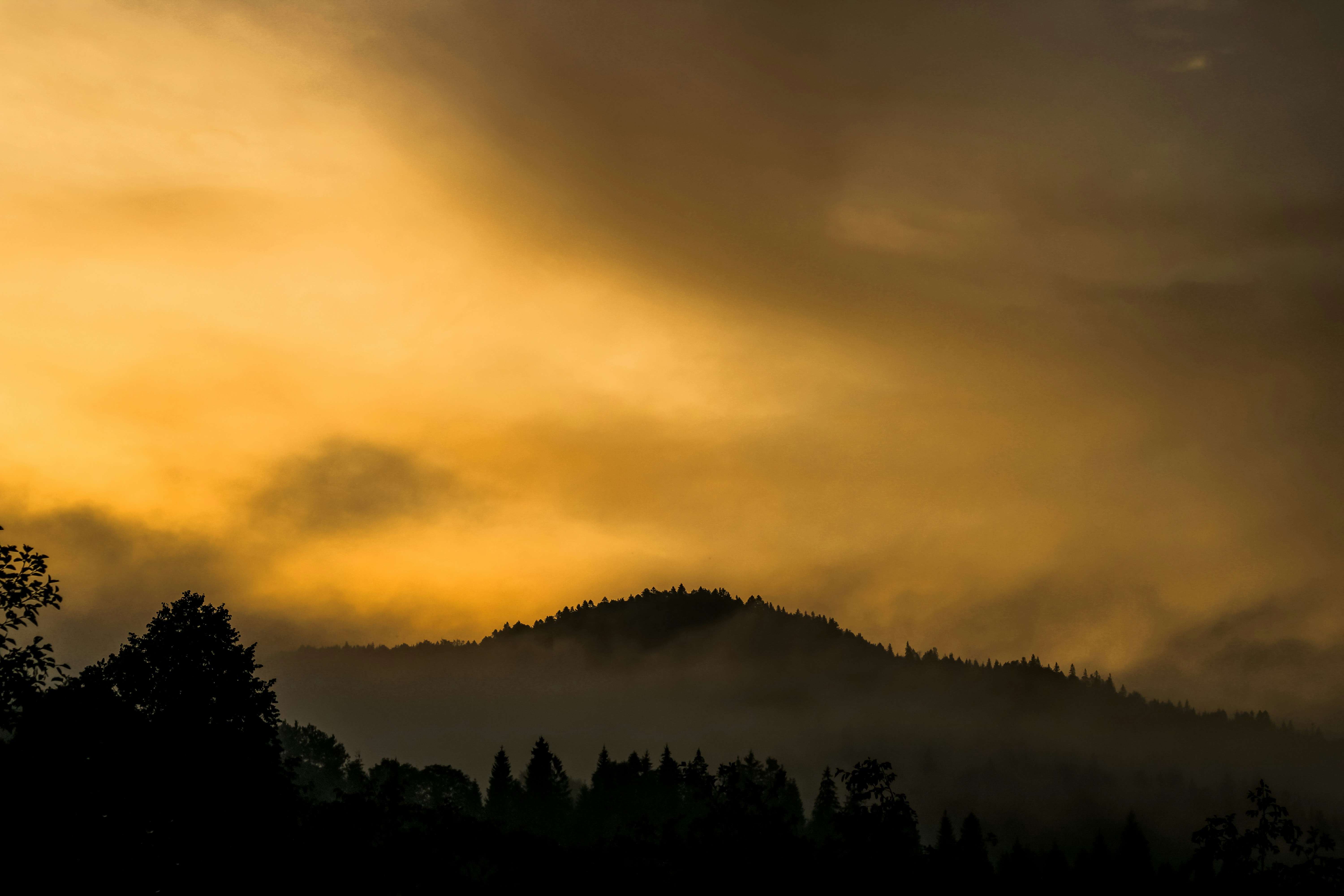 Photo by mineral_of_demon