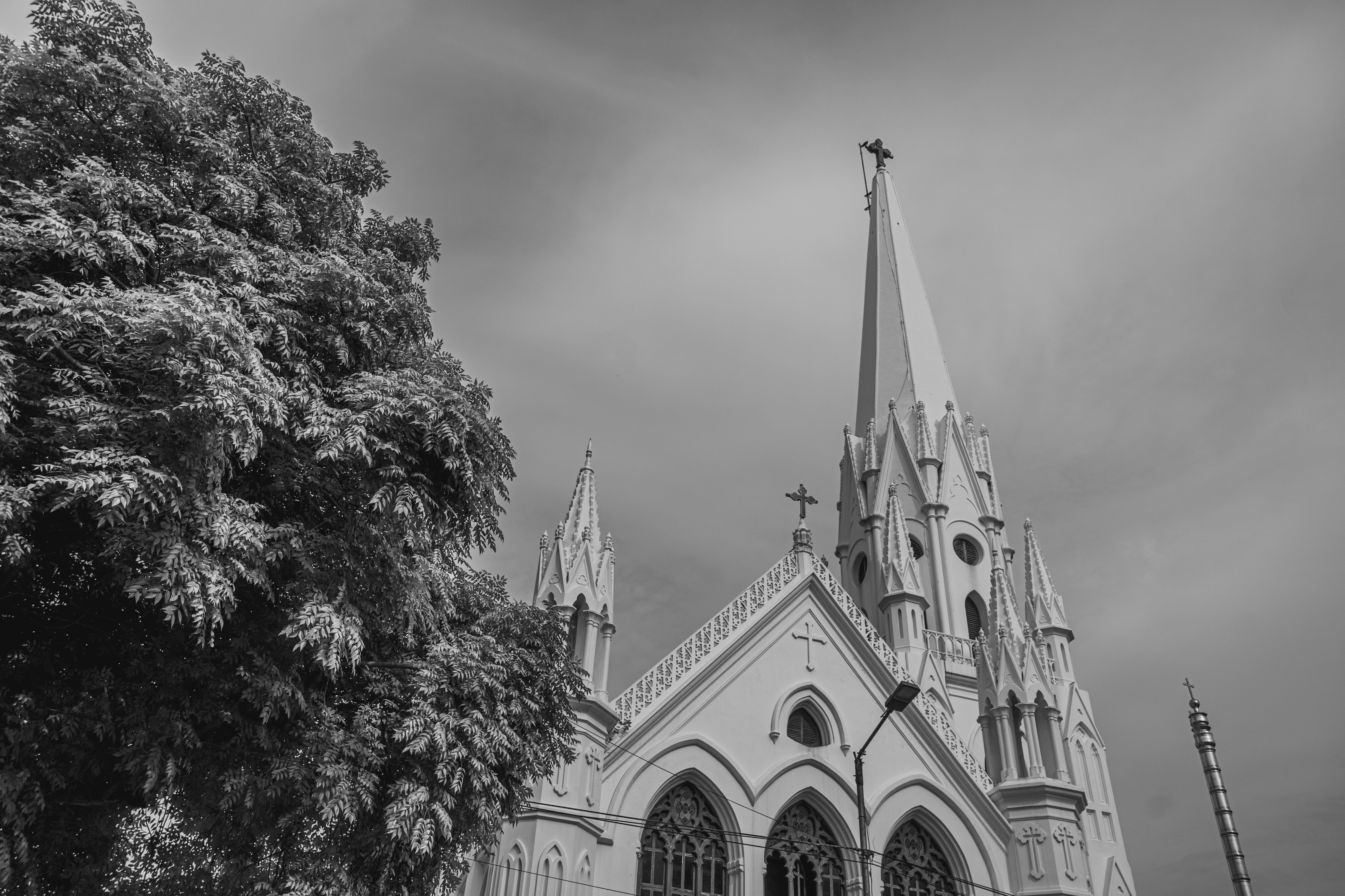 Photo by karthickgislen