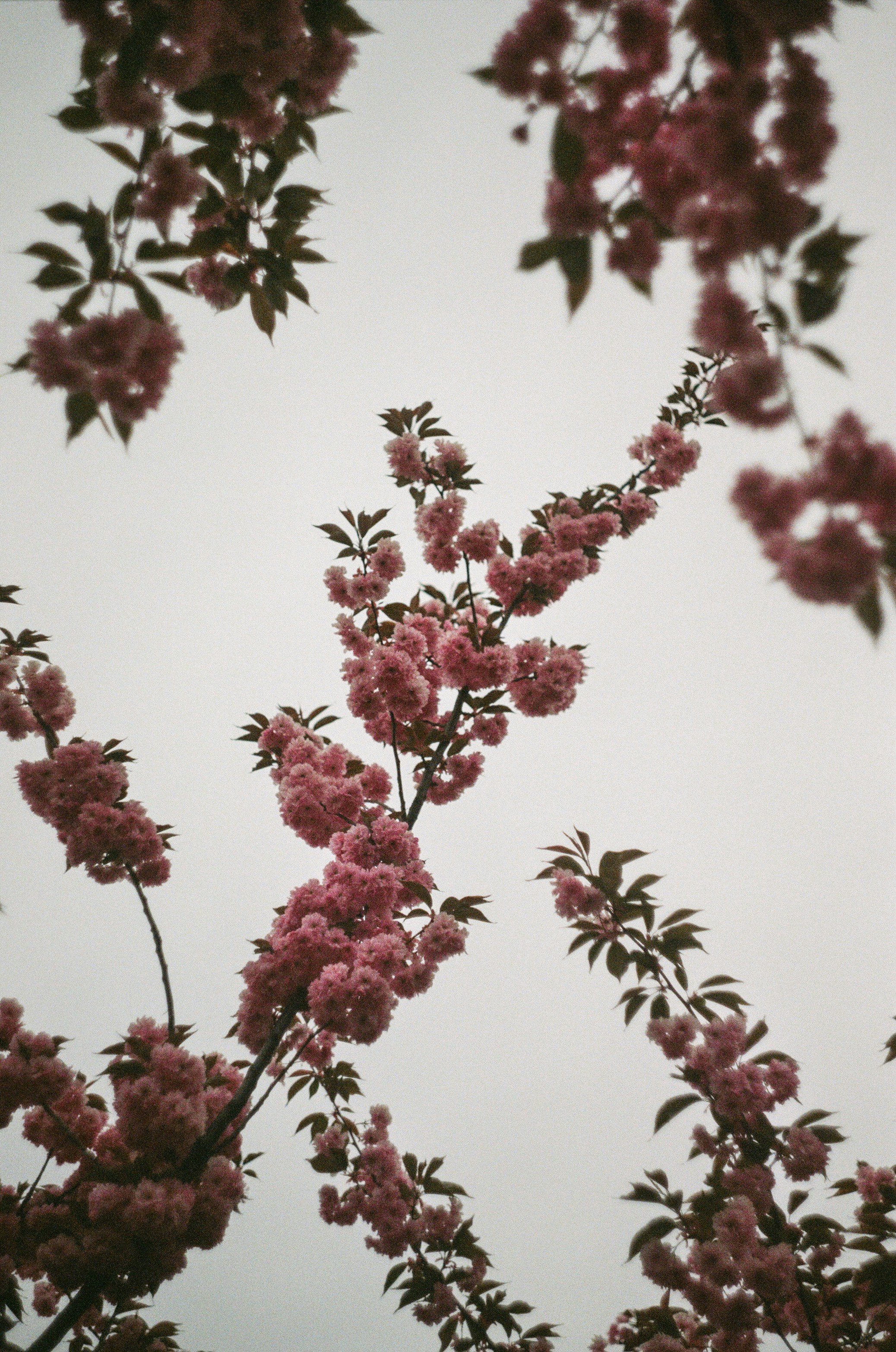 Photo by mineral_of_demon