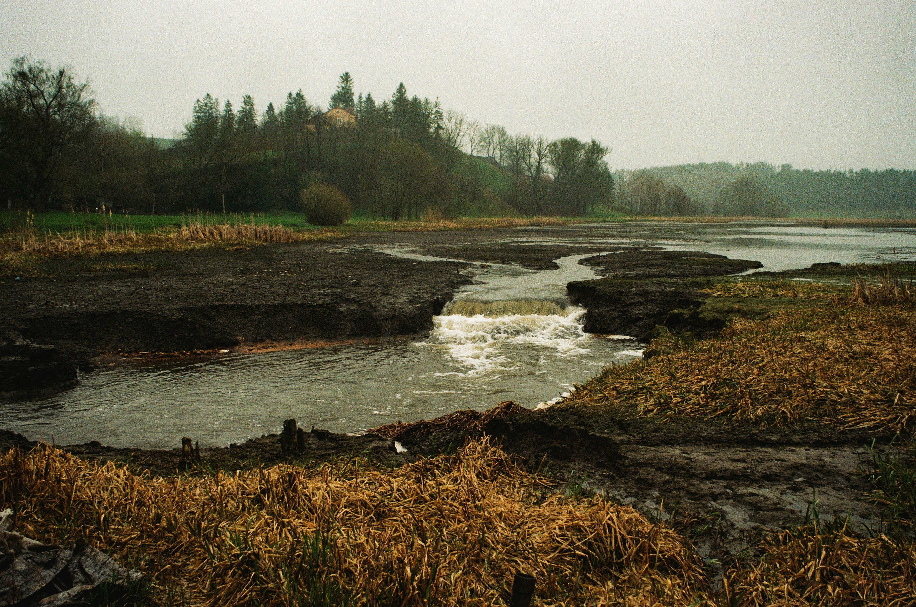 Brook Field