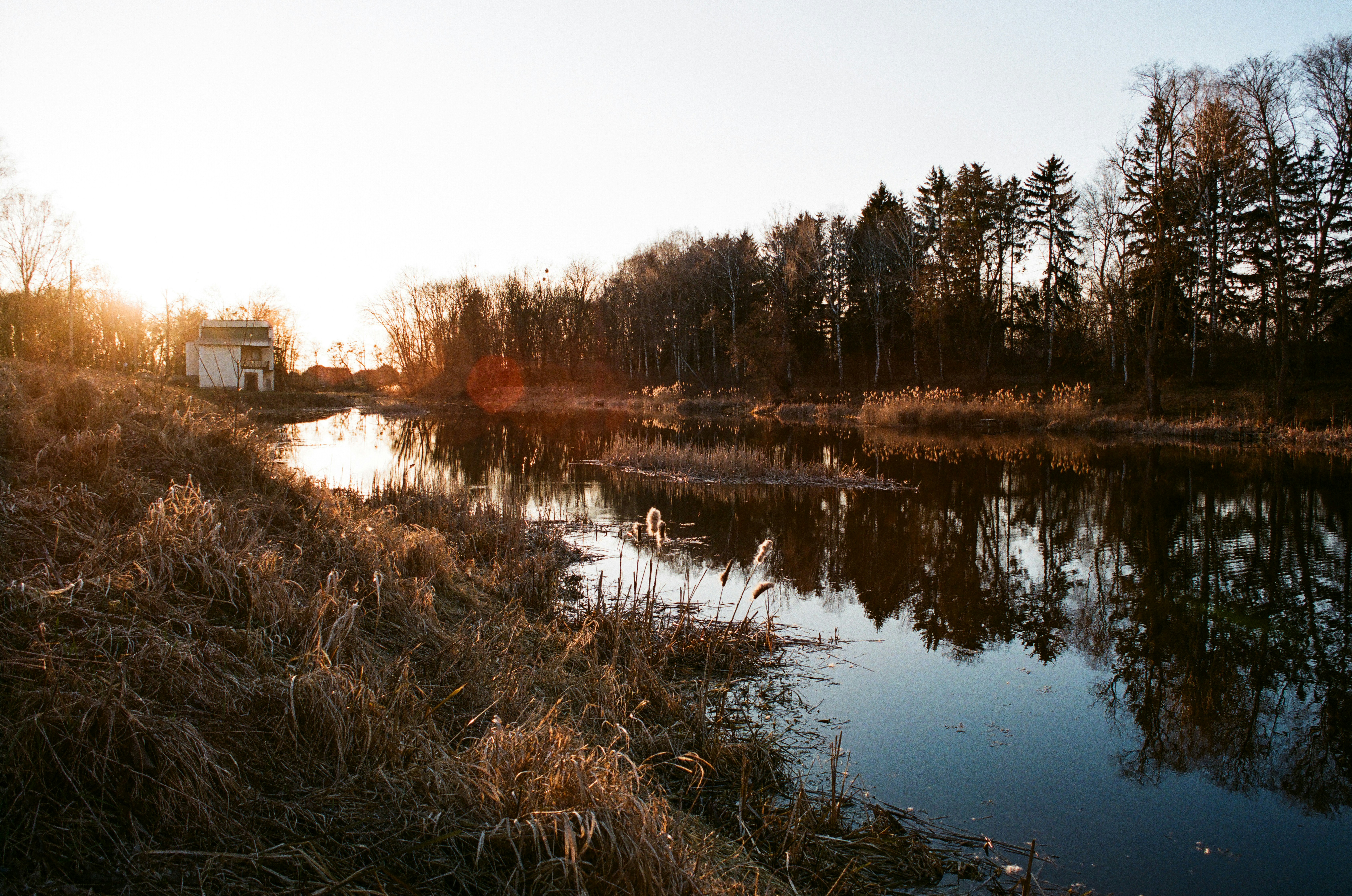 Photo by mineral_of_demon